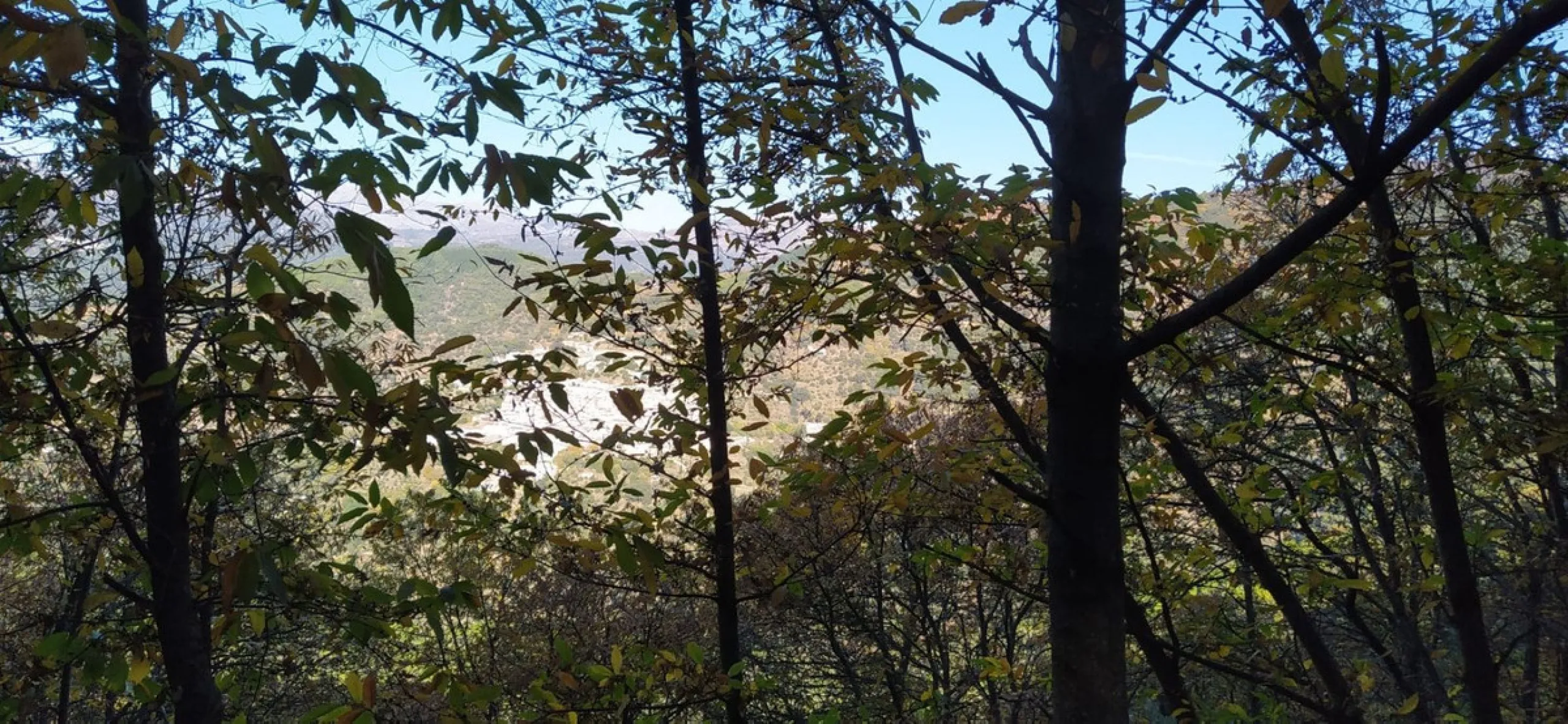 Finca - Cortijo, Jubrique, Costa del Sol.
