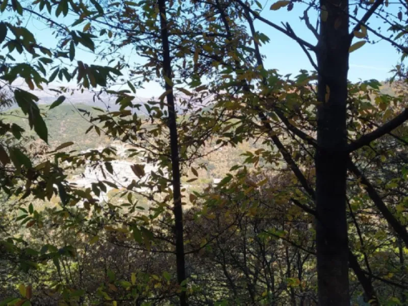 Finca - Cortijo, Jubrique, Costa del Sol.