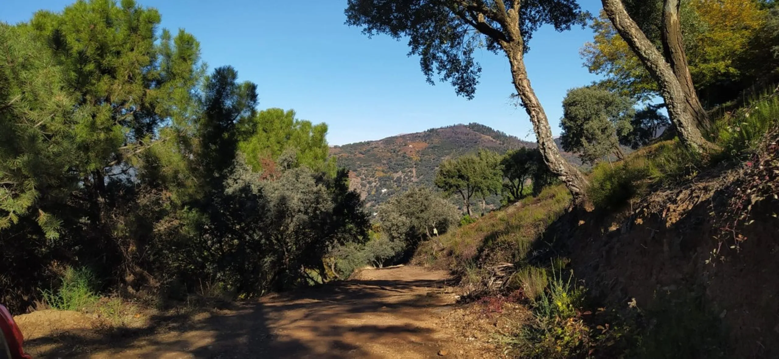 Finca - Cortijo, Jubrique, Costa del Sol.