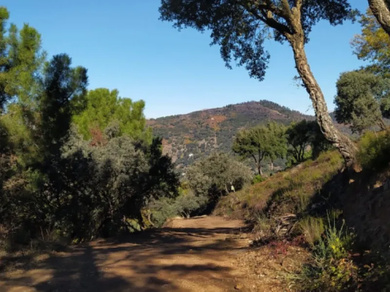 Finca - Cortijo, Jubrique, Costa del Sol.