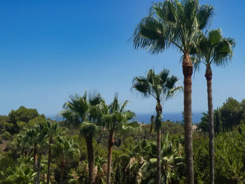 Discover this fantastic south-facing apartment just minutes from Marbella's center, the beach, and Puerto Banus. This exclusive residence features two beautiful swimming pools within lush communal gardens and 24-hour security for peace of mind.