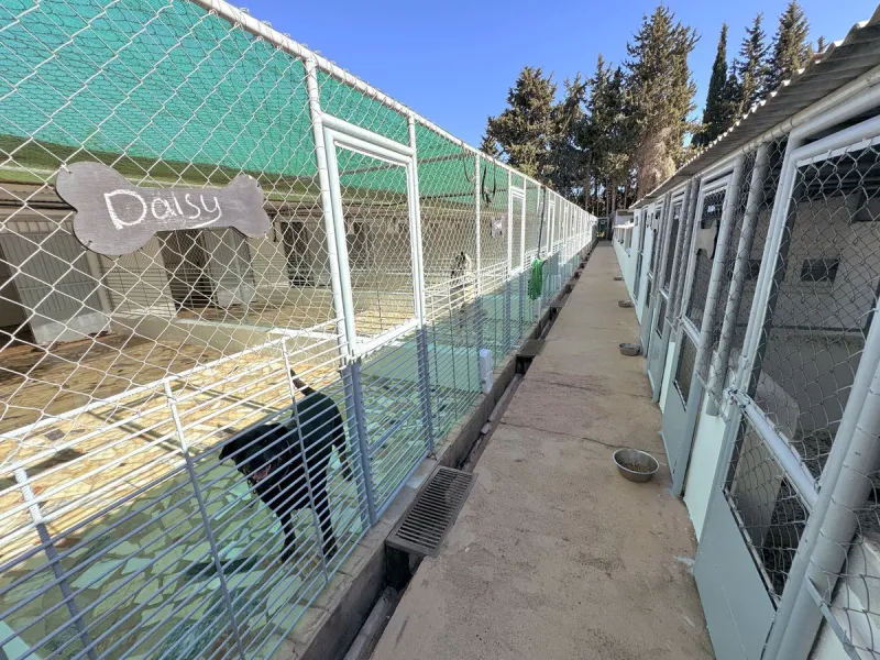 Beautiful HOME & Successful BUSINESS for sale in Mijas, Costa del Sol. 3-4 bed Finca + 1 bed Static Home + 550 m2 Storage Warehouses + 23 Kennels + 15 pen Cattery & Storage area for 50+ vehicles, on a large 5839 m2 plot.