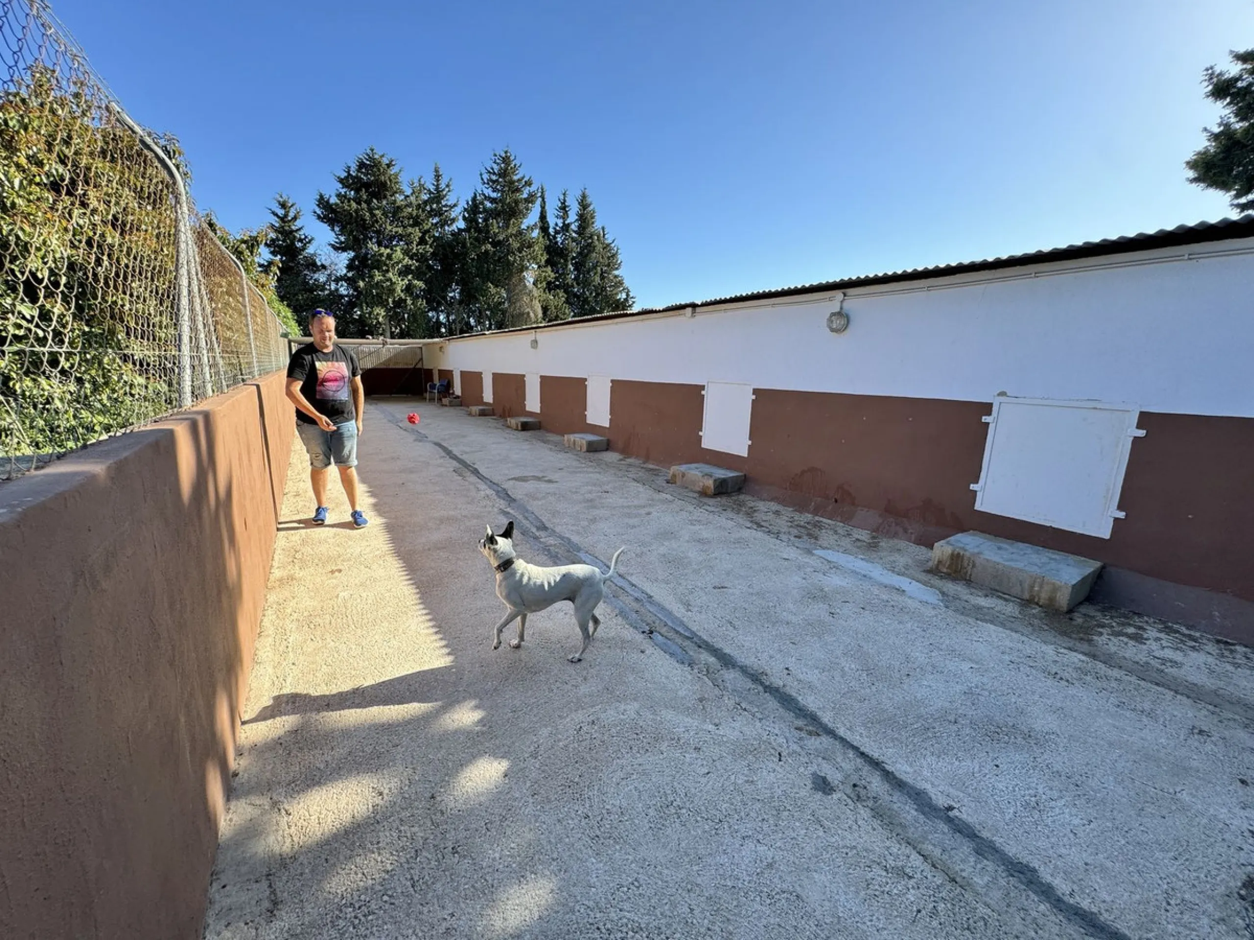 Beautiful HOME & Successful BUSINESS for sale in Mijas, Costa del Sol. 3-4 bed Finca + 1 bed Static Home + 550 m2 Storage Warehouses + 23 Kennels + 15 pen Cattery & Storage area for 50+ vehicles, on a large 5839 m2 plot.