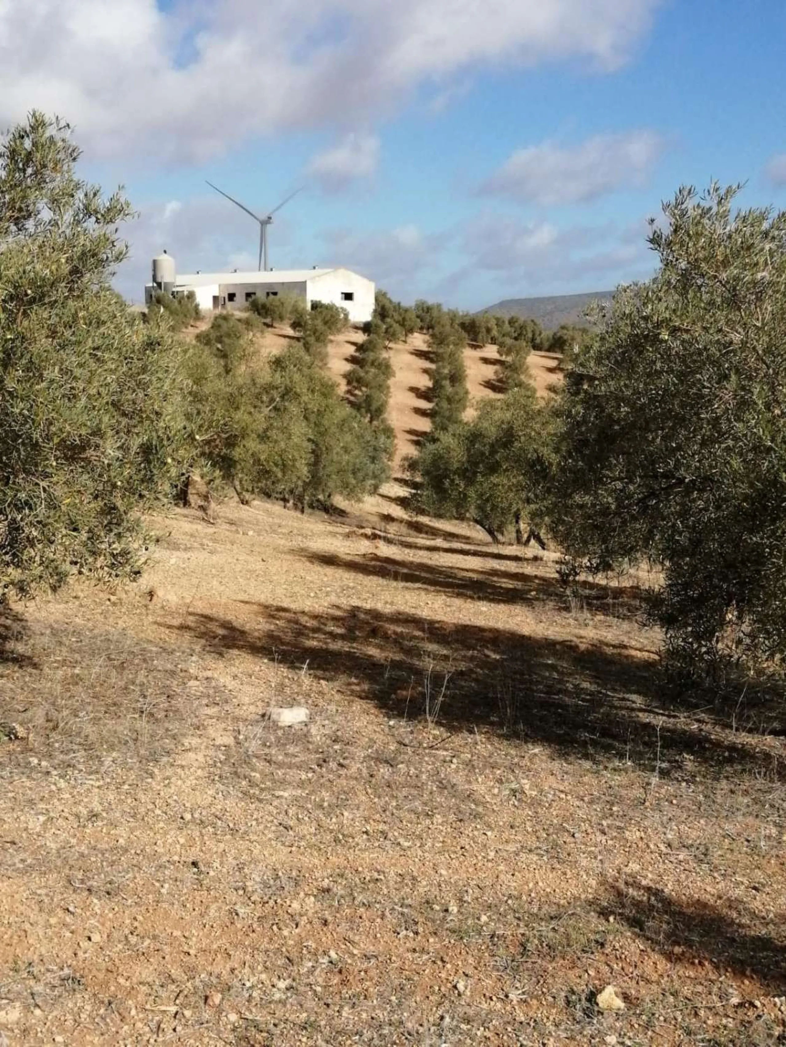 Plot - Land в продаже в Sierra de Yeguas, Málaga. В доме 1 спален и 1 ванных комнат. Площадь дома 316 м². Площадь участка 211711 м²