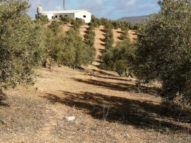 Plot - Land в продаже в Sierra de Yeguas, Málaga. В доме 1 спален и 1 ванных комнат. Площадь дома 316 м². Площадь участка 211711 м²