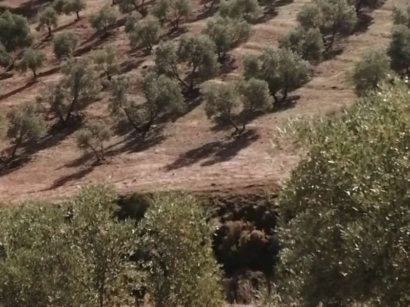 Plot - Land в продаже в Sierra de Yeguas, Málaga. В доме 1 спален и 1 ванных комнат. Площадь дома 316 м². Площадь участка 211711 м²