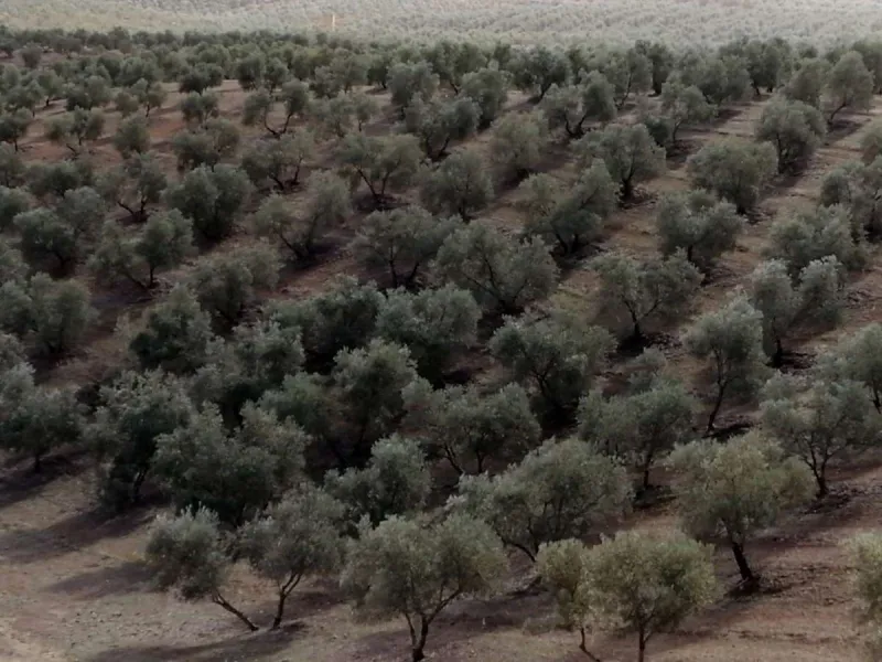Plot - Land в продаже в Sierra de Yeguas, Málaga. В доме 1 спален и 1 ванных комнат. Площадь дома 316 м². Площадь участка 211711 м²