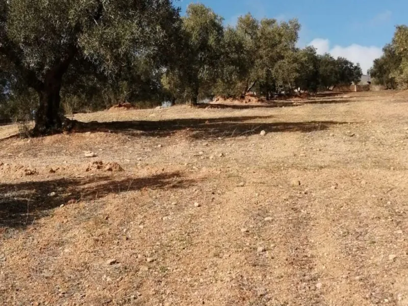 Plot - Land в продаже в Sierra de Yeguas, Málaga. В доме 1 спален и 1 ванных комнат. Площадь дома 316 м². Площадь участка 211711 м²