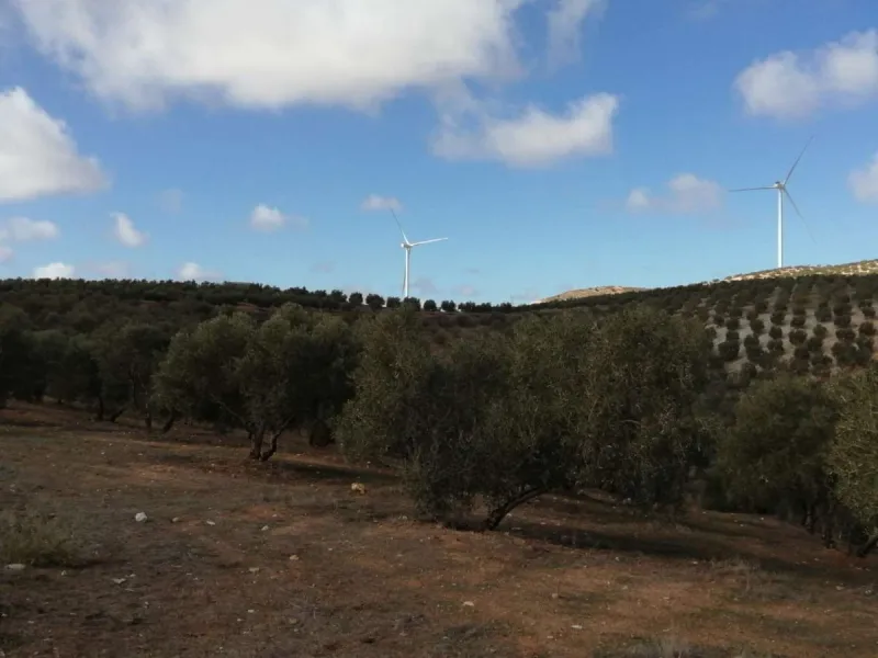 Plot - Land в продаже в Sierra de Yeguas, Málaga. В доме 1 спален и 1 ванных комнат. Площадь дома 316 м². Площадь участка 211711 м²