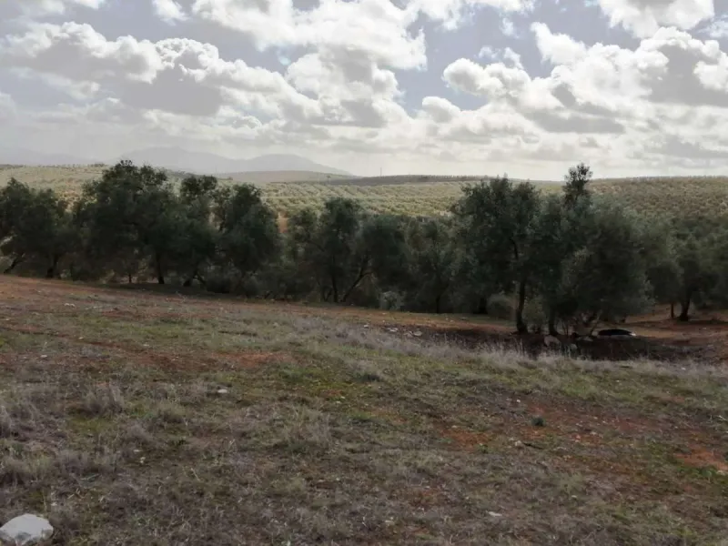 Plot - Land в продаже в Sierra de Yeguas, Málaga. В доме 1 спален и 1 ванных комнат. Площадь дома 316 м². Площадь участка 211711 м²