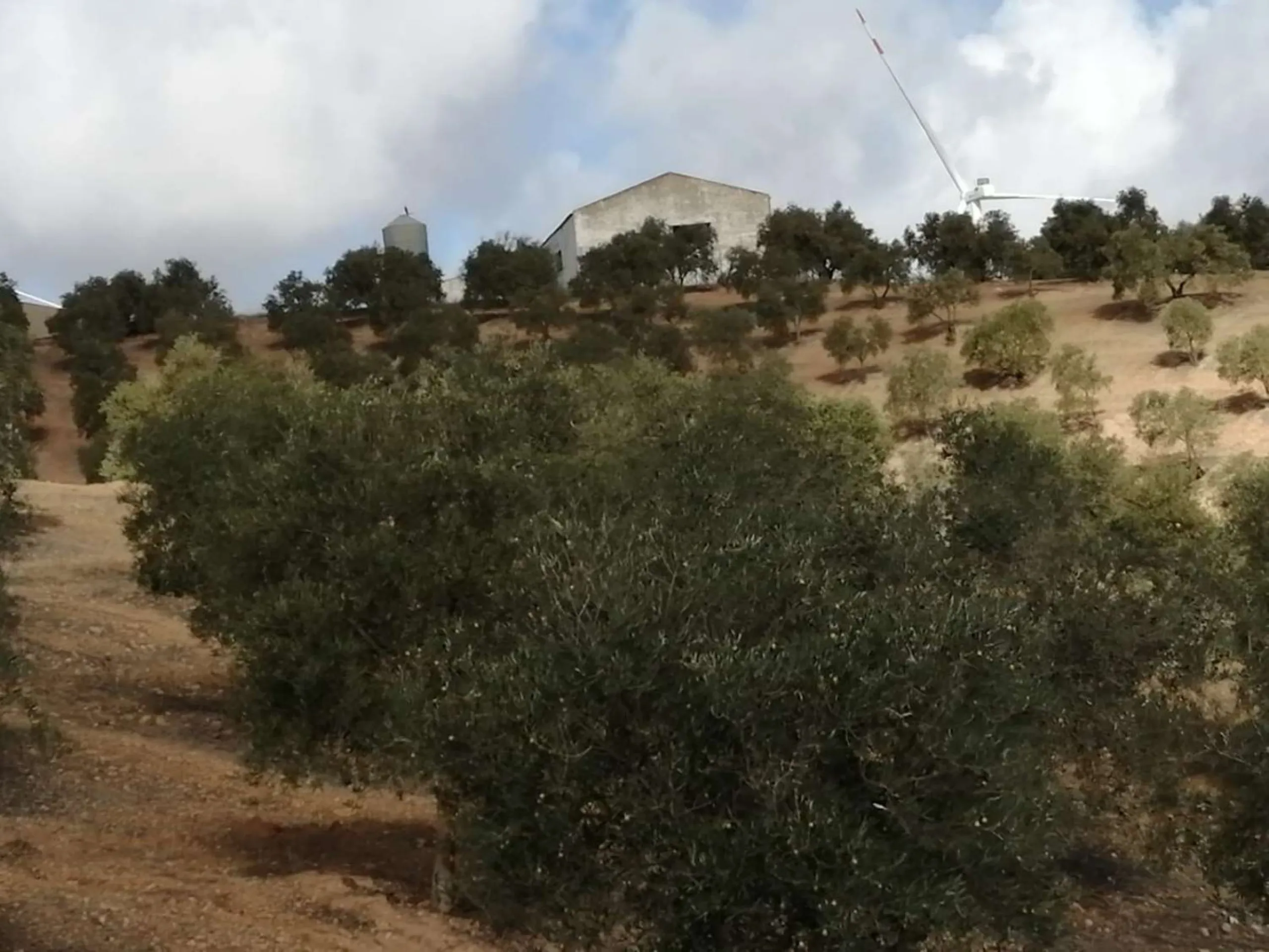 Plot - Land в продаже в Sierra de Yeguas, Málaga. В доме 1 спален и 1 ванных комнат. Площадь дома 316 м². Площадь участка 211711 м²