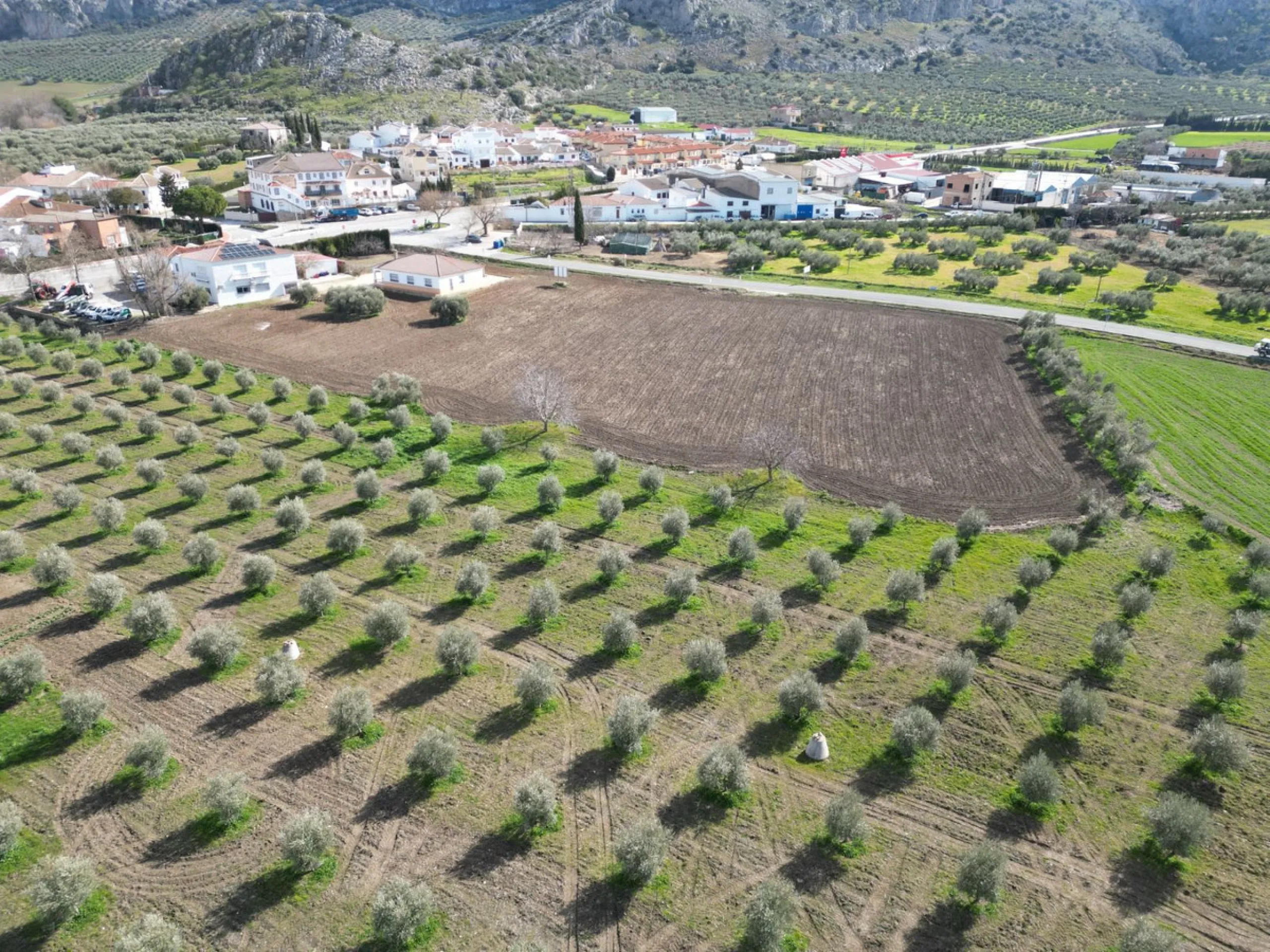 Completely flat development land with an approved and flexible project for 31 homes | 8,191 m² next to the Ronda-Campillos highway, opposite a sold development, 20 minutes from Ronda and 1 hour from Málaga and the Costa del Sol