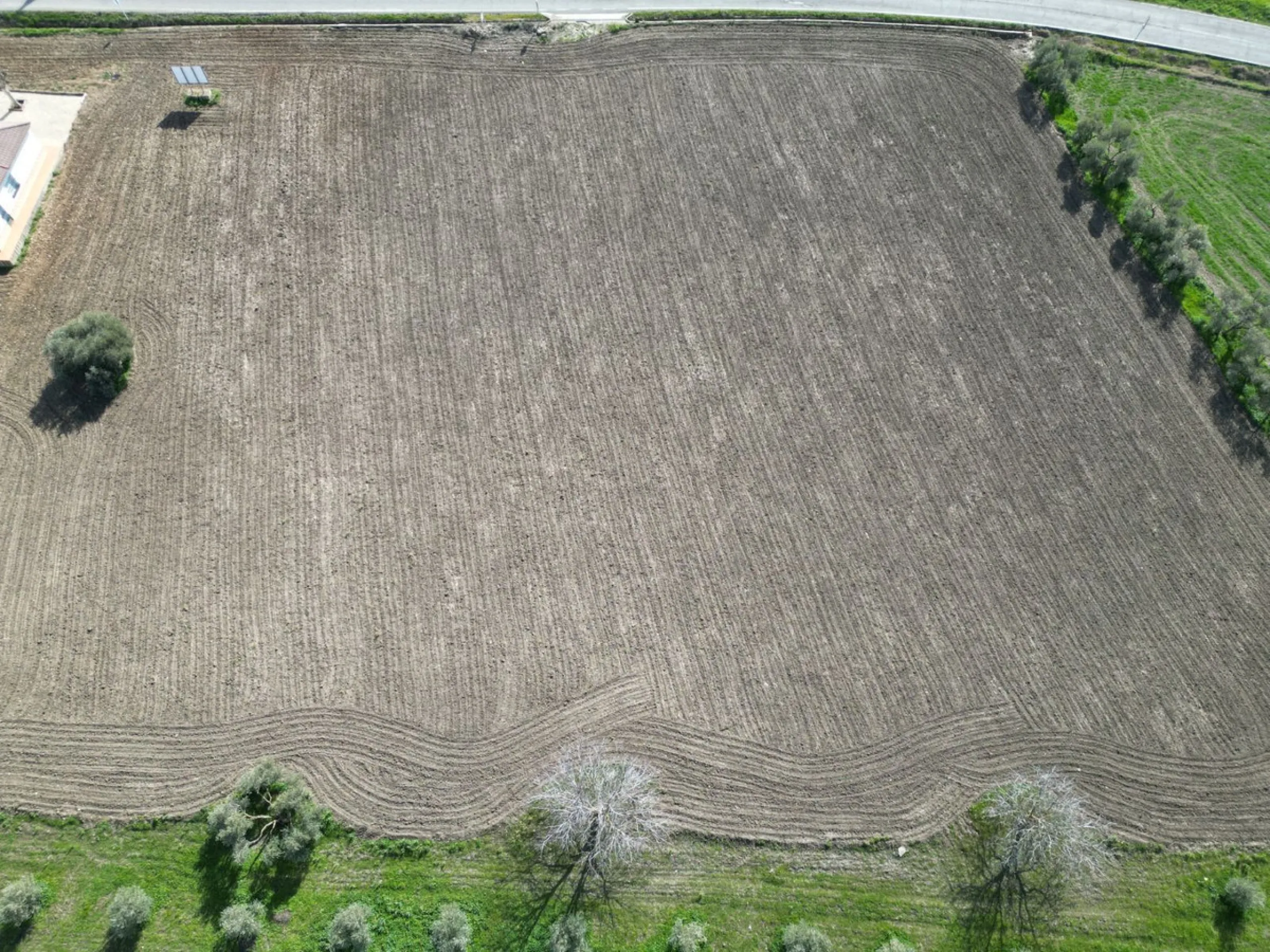 Completely flat development land with an approved and flexible project for 31 homes | 8,191 m² next to the Ronda-Campillos highway, opposite a sold development, 20 minutes from Ronda and 1 hour from Málaga and the Costa del Sol