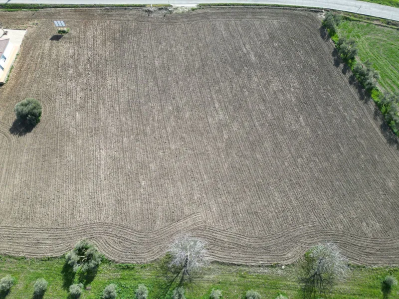 Completely flat development land with an approved and flexible project for 31 homes | 8,191 m² next to the Ronda-Campillos highway, opposite a sold development, 20 minutes from Ronda and 1 hour from Málaga and the Costa del Sol