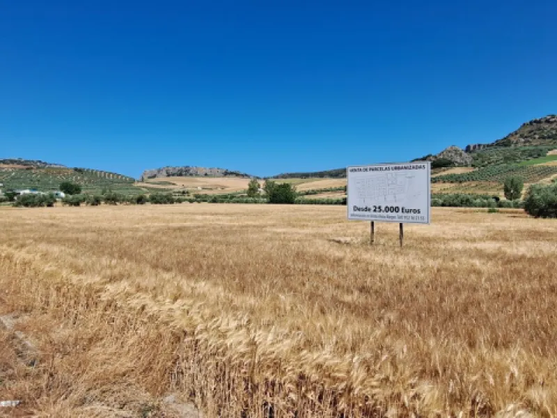 Completely flat development land with an approved and flexible project for 31 homes | 8,191 m² next to the Ronda-Campillos highway, opposite a sold development, 20 minutes from Ronda and 1 hour from Málaga and the Costa del Sol