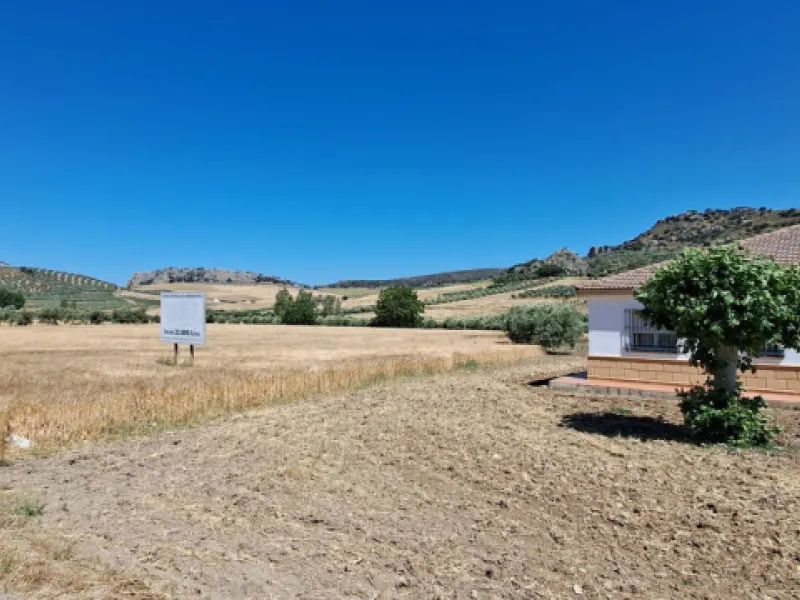 Completely flat development land with an approved and flexible project for 31 homes | 8,191 m² next to the Ronda-Campillos highway, opposite a sold development, 20 minutes from Ronda and 1 hour from Málaga and the Costa del Sol