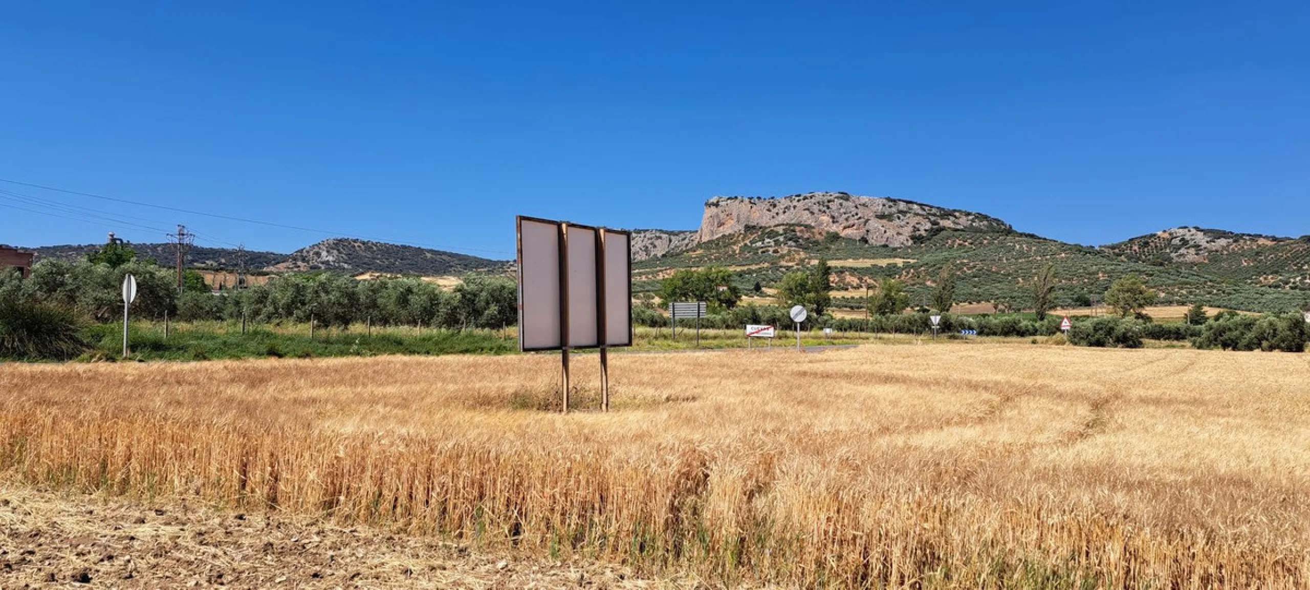 Completely flat development land with an approved and flexible project for 31 homes | 8,191 m² next to the Ronda-Campillos highway, opposite a sold development, 20 minutes from Ronda and 1 hour from Málaga and the Costa del Sol