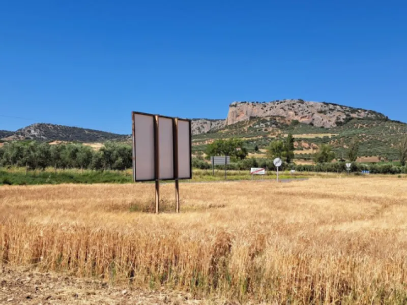 Completely flat development land with an approved and flexible project for 31 homes | 8,191 m² next to the Ronda-Campillos highway, opposite a sold development, 20 minutes from Ronda and 1 hour from Málaga and the Costa del Sol
