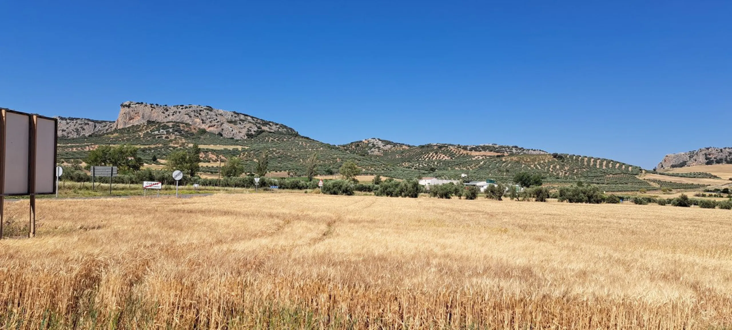 Completely flat development land with an approved and flexible project for 31 homes | 8,191 m² next to the Ronda-Campillos highway, opposite a sold development, 20 minutes from Ronda and 1 hour from Málaga and the Costa del Sol