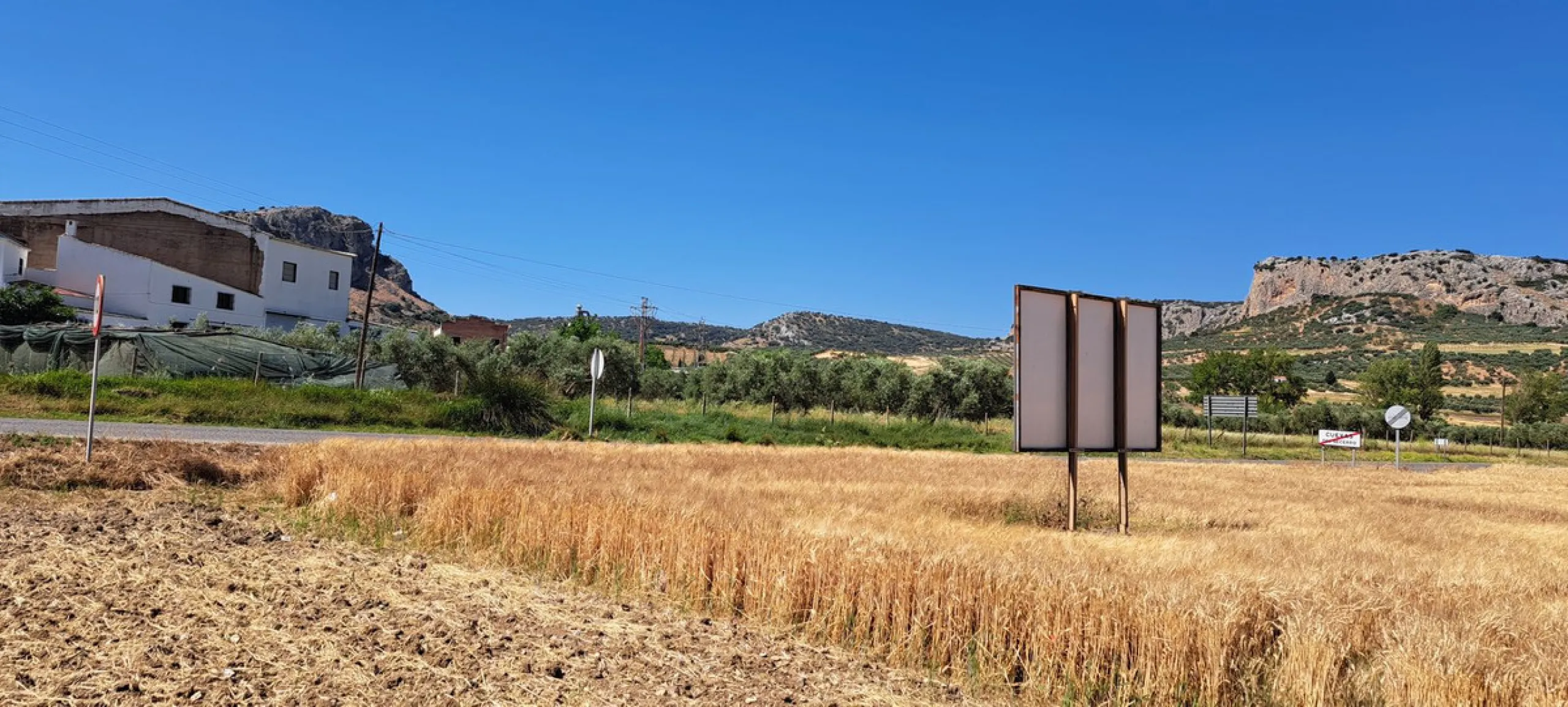 Completely flat development land with an approved and flexible project for 31 homes | 8,191 m² next to the Ronda-Campillos highway, opposite a sold development, 20 minutes from Ronda and 1 hour from Málaga and the Costa del Sol