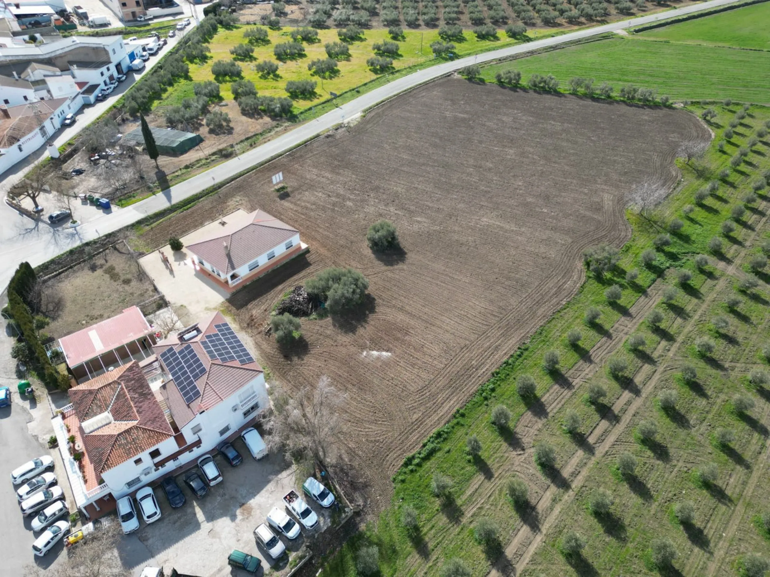 Completely flat development land with an approved and flexible project for 31 homes | 8,191 m² next to the Ronda-Campillos highway, opposite a sold development, 20 minutes from Ronda and 1 hour from Málaga and the Costa del Sol