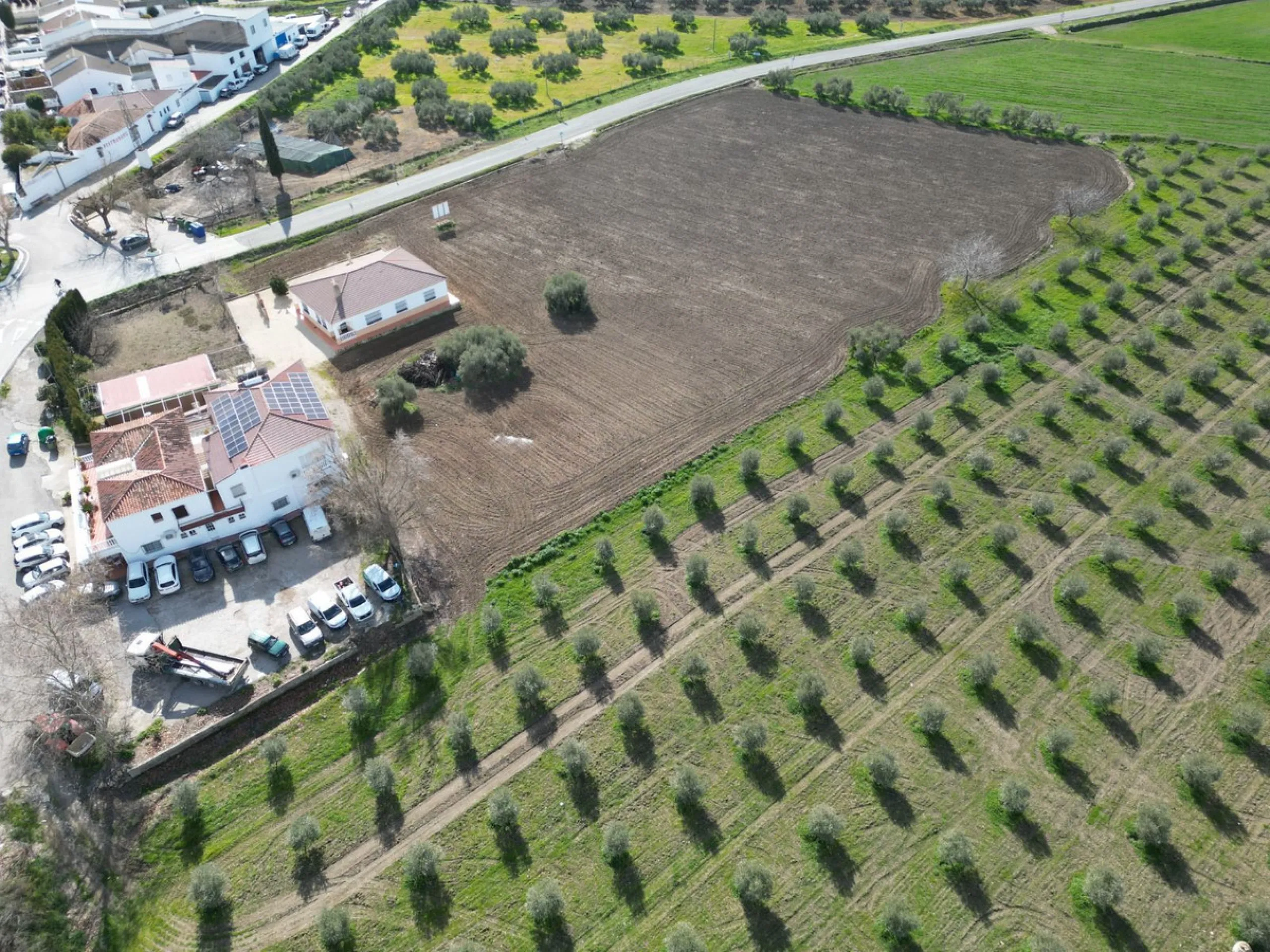 Completely flat development land with an approved and flexible project for 31 homes | 8,191 m² next to the Ronda-Campillos highway, opposite a sold development, 20 minutes from Ronda and 1 hour from Málaga and the Costa del Sol
