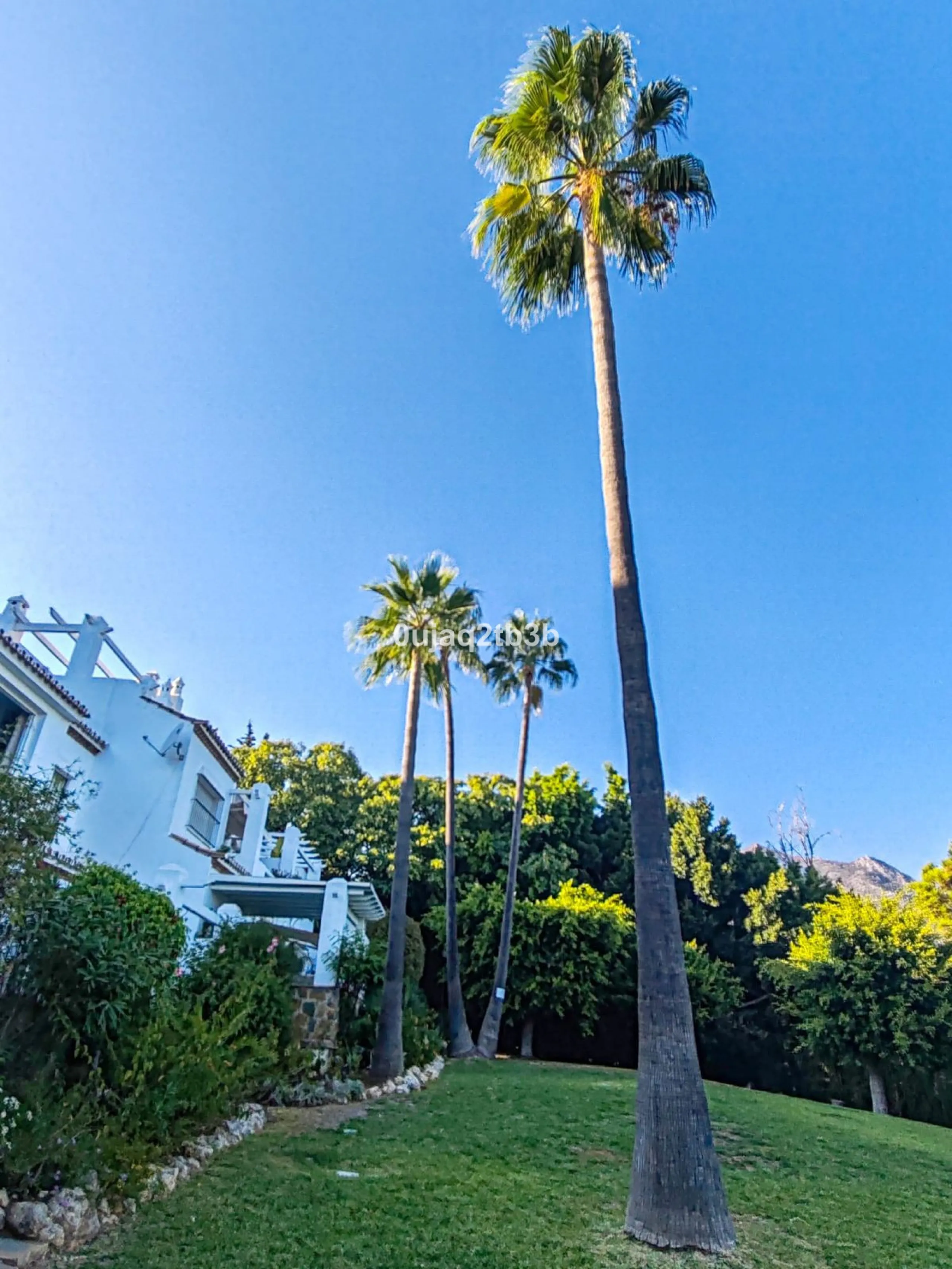 Exclusive Opportunity in Marbella's Golden Mile – Nagüeles