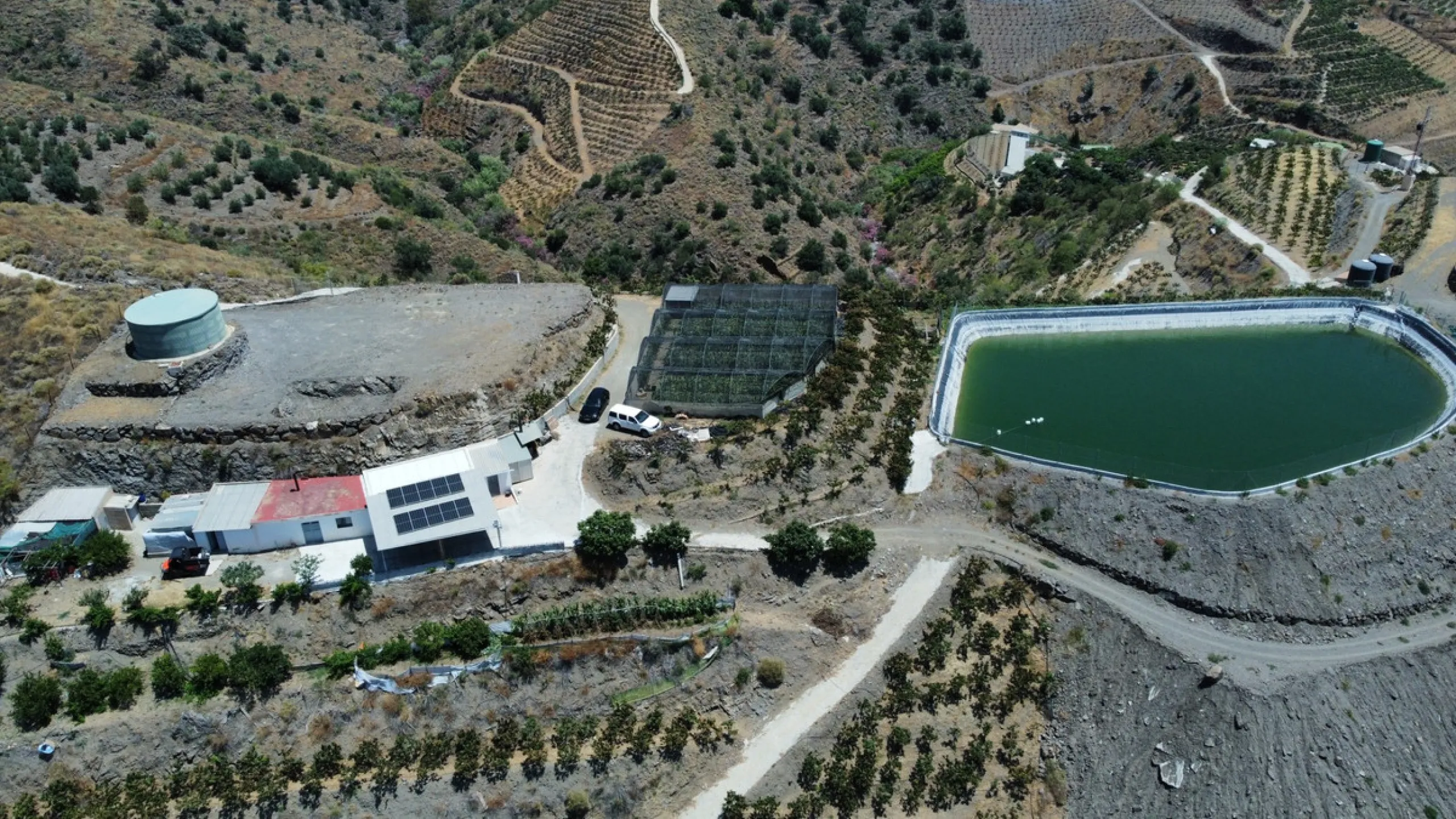 This extraordinary property spans a total of 60,000m2, with 40,000m2 already cultivated and 20,000m2 remaining unexploited, ready for your development or further agricultural pursuits. The cultivated area boasts a thriving mango plantation with 3,500 tree