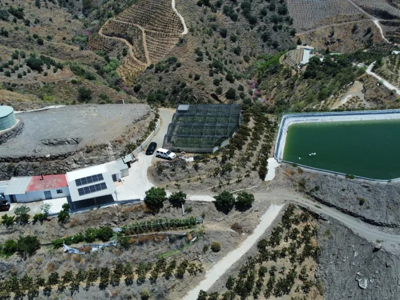This extraordinary property spans a total of 60,000m2, with 40,000m2 already cultivated and 20,000m2 remaining unexploited, ready for your development or further agricultural pursuits. The cultivated area boasts a thriving mango plantation with 3,500 tree