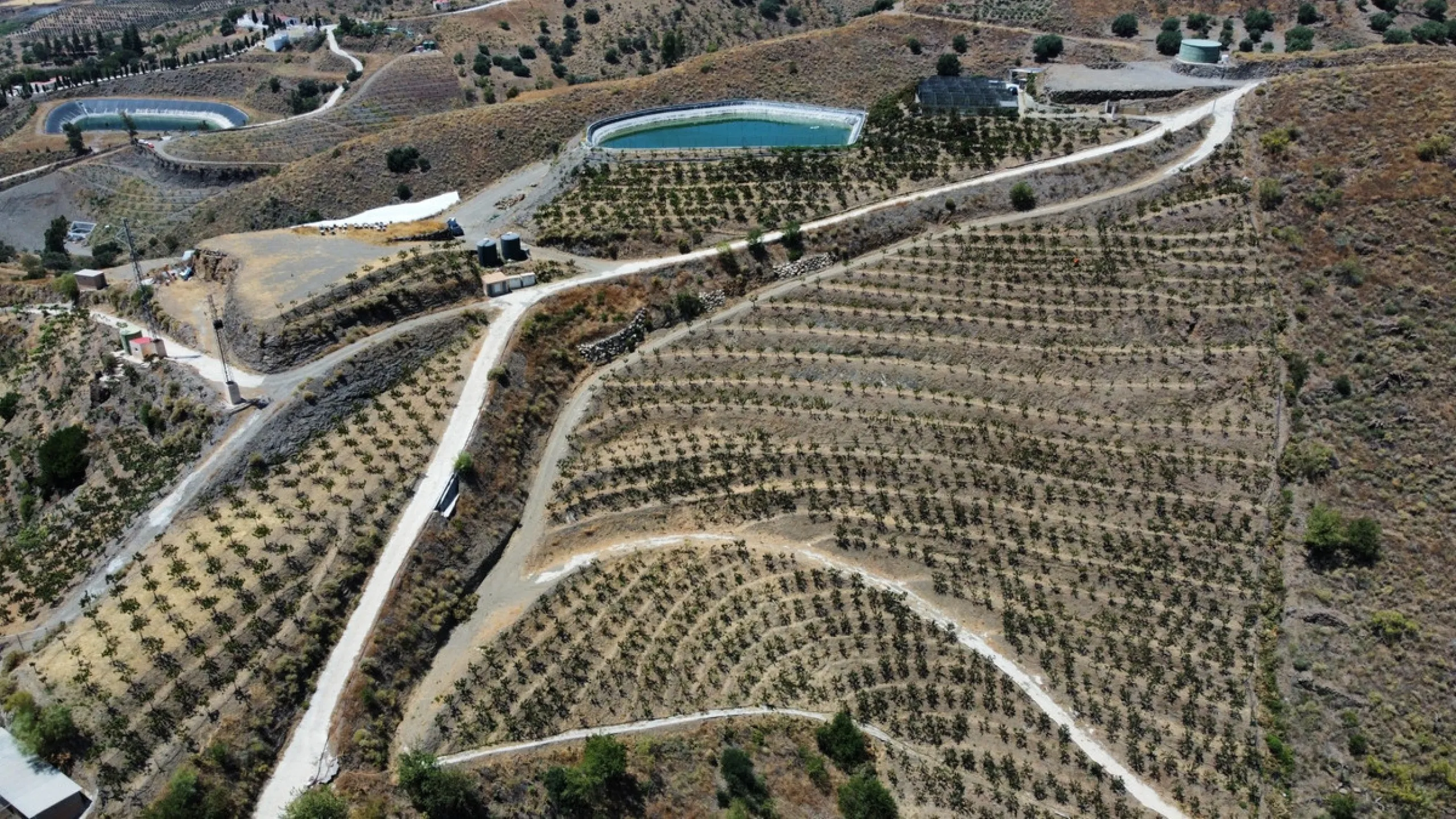 This extraordinary property spans a total of 60,000m2, with 40,000m2 already cultivated and 20,000m2 remaining unexploited, ready for your development or further agricultural pursuits. The cultivated area boasts a thriving mango plantation with 3,500 tree