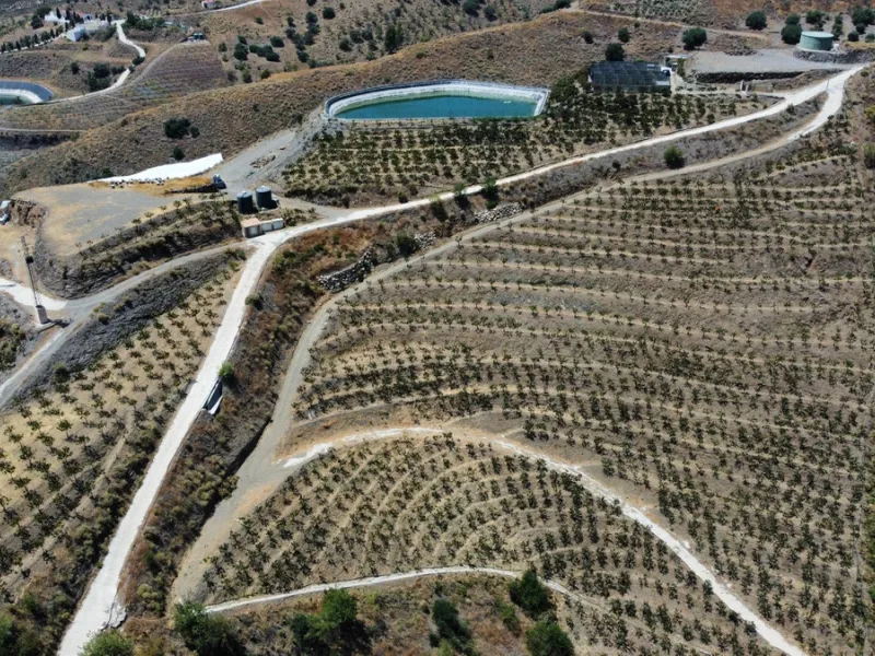 This extraordinary property spans a total of 60,000m2, with 40,000m2 already cultivated and 20,000m2 remaining unexploited, ready for your development or further agricultural pursuits. The cultivated area boasts a thriving mango plantation with 3,500 tree