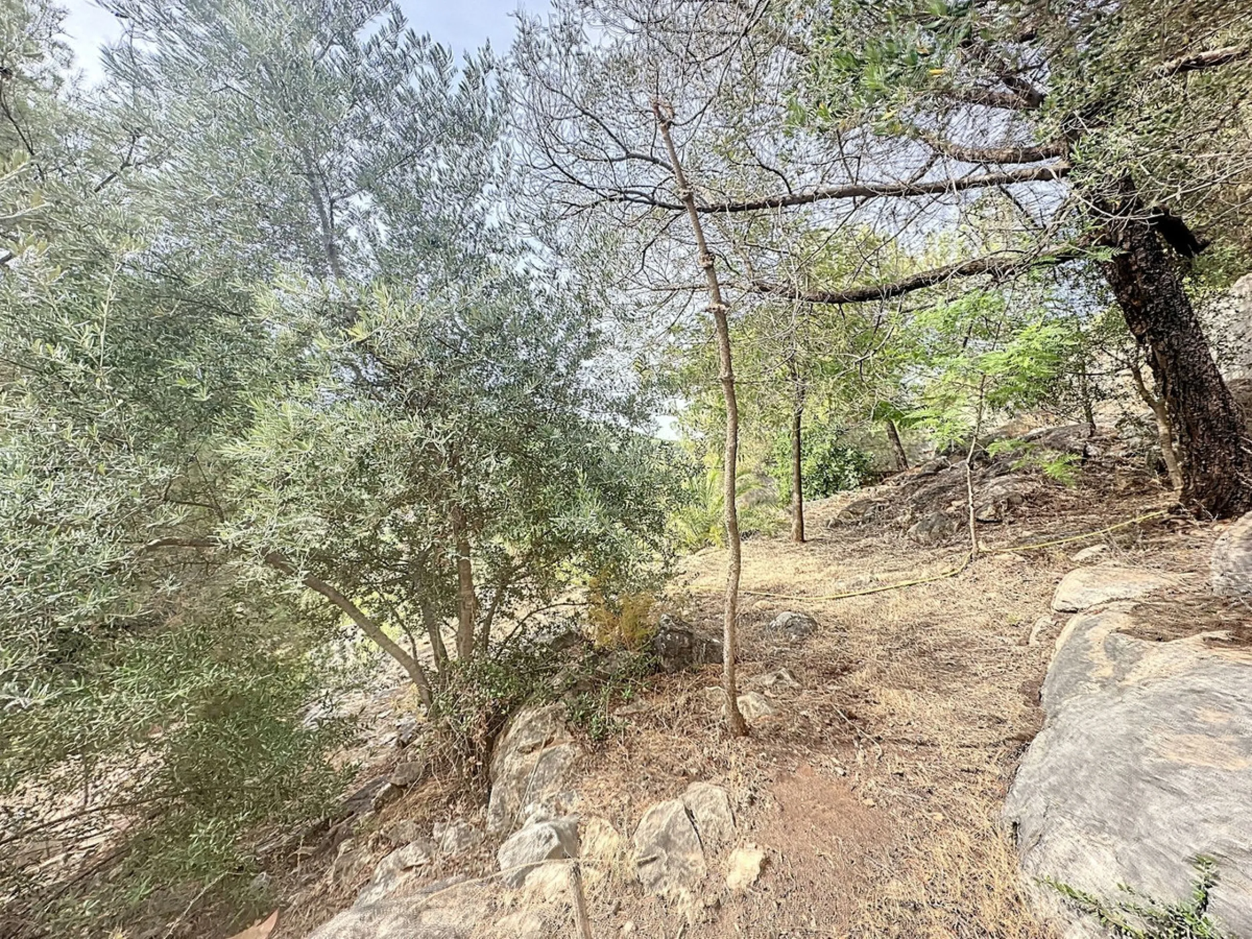 House - Finca - Cortijo в продаже в Monda, Málaga. В доме 5 спален и 5 ванных комнат. Площадь дома 290 м². Площадь участка 1877 м²