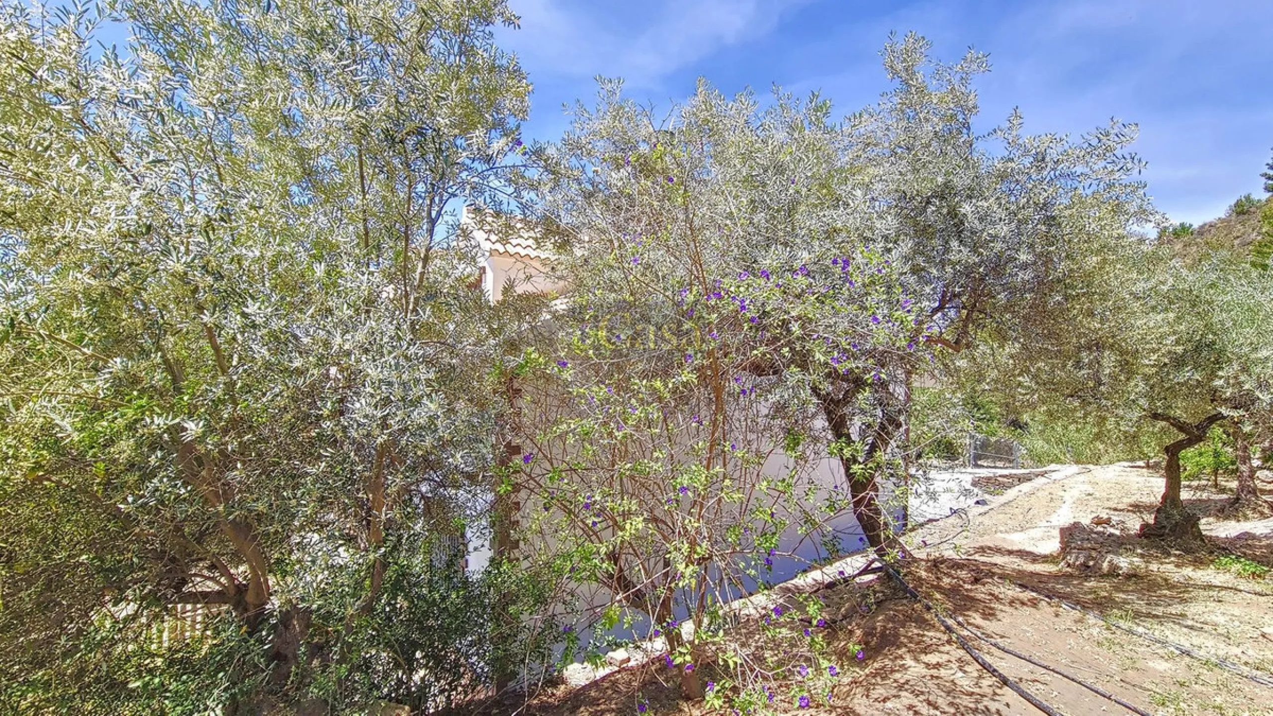 House - Detached Villa в продаже в Canillas de Albaida, Málaga. В доме 4 спален и 2 ванных комнат. Площадь дома 331 м². Площадь участка 8750 м²
