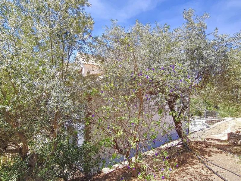 House - Detached Villa в продаже в Canillas de Albaida, Málaga. В доме 4 спален и 2 ванных комнат. Площадь дома 331 м². Площадь участка 8750 м²