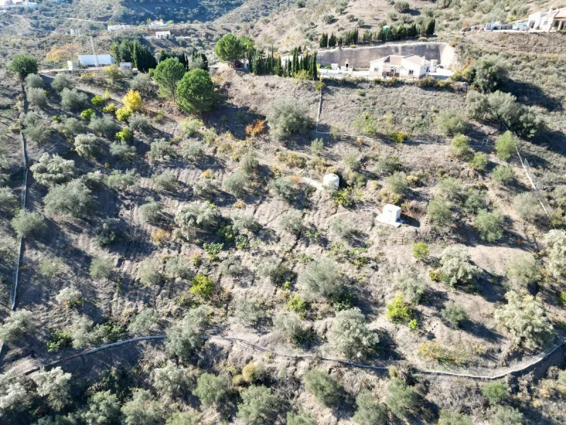 Charming Country Retreat with Pool and Orchard near Corumbuela