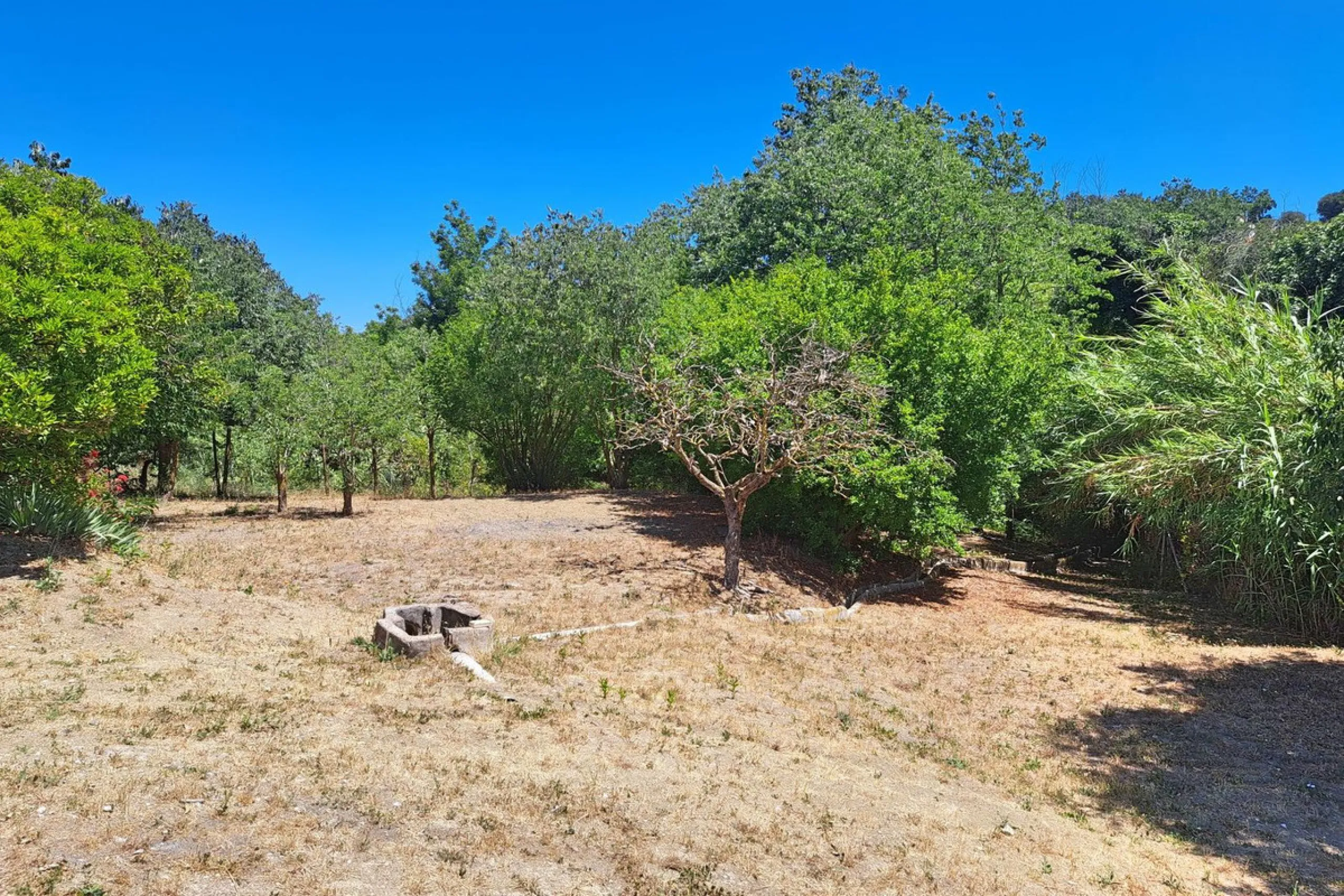 Spectacular detached villa with 3 separate living accommodations, situated in an extremely private location, walking distance to town.