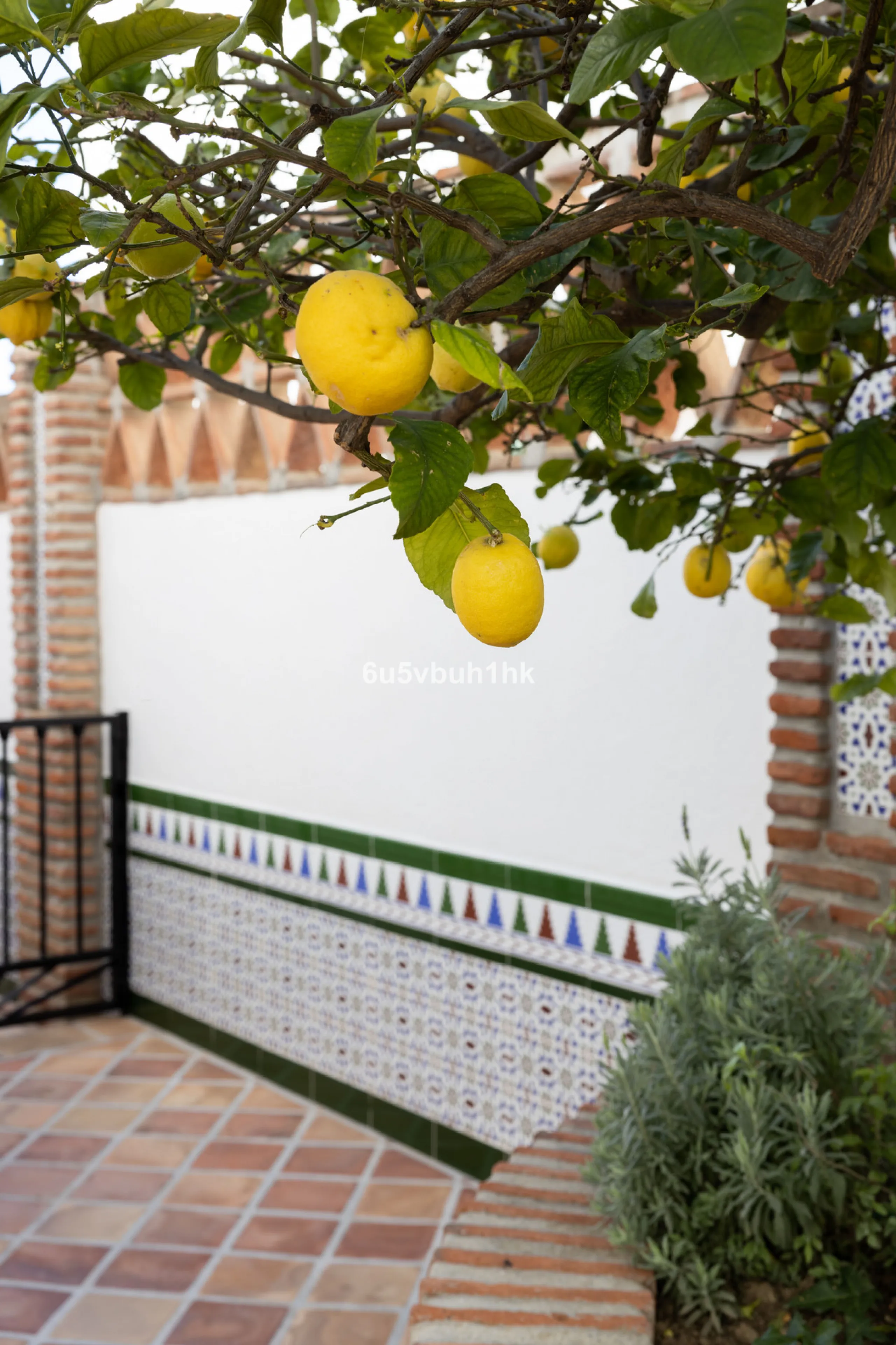 House - Detached Villa в продаже в Mijas, Málaga. В доме 4 спален и 3 ванных комнат. Площадь дома 366 м². Площадь участка 61 м²