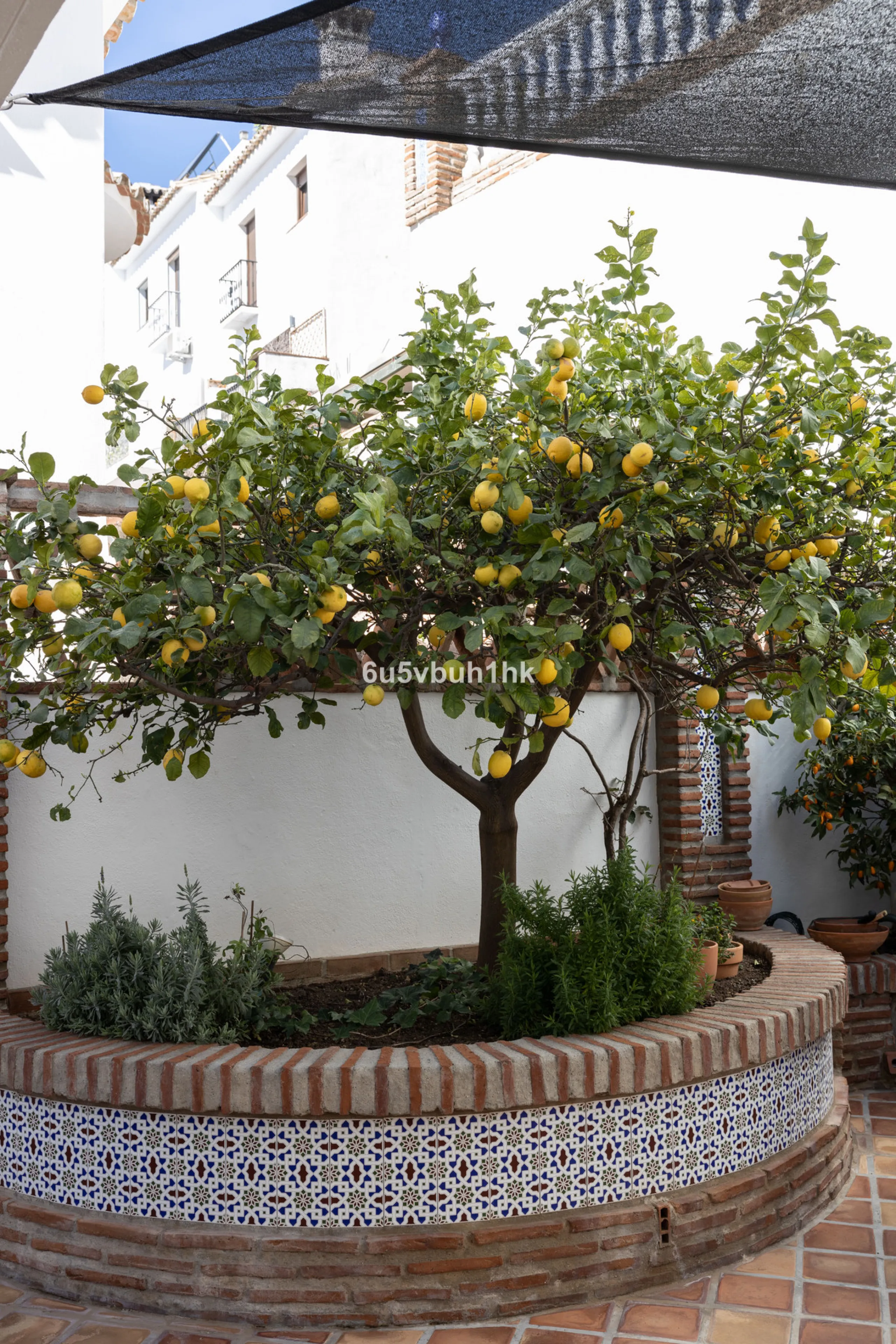 House - Detached Villa в продаже в Mijas, Málaga. В доме 4 спален и 3 ванных комнат. Площадь дома 366 м². Площадь участка 61 м²
