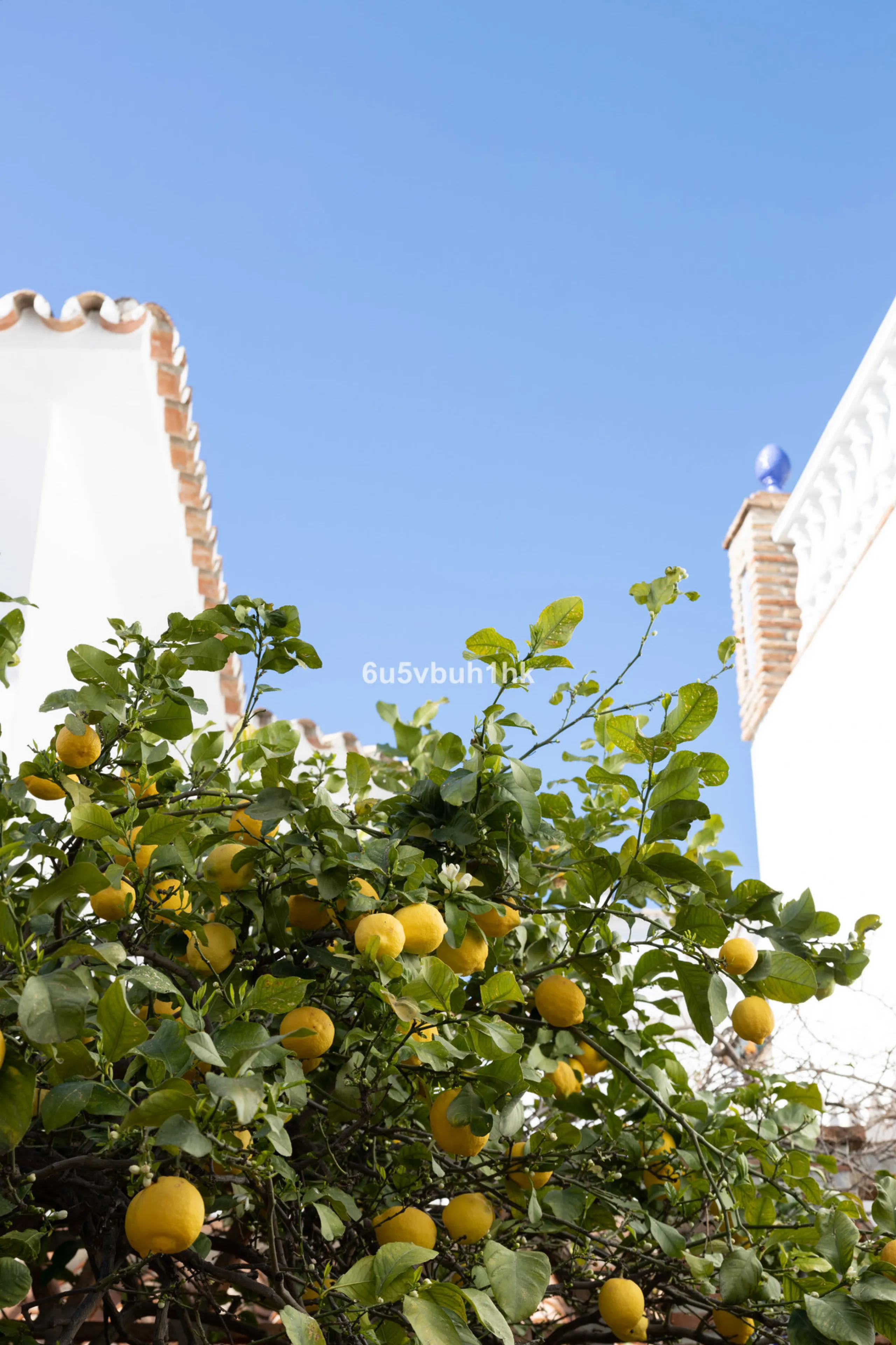 House - Detached Villa в продаже в Mijas, Málaga. В доме 4 спален и 3 ванных комнат. Площадь дома 366 м². Площадь участка 61 м²