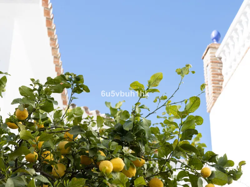 House - Detached Villa в продаже в Mijas, Málaga. В доме 4 спален и 3 ванных комнат. Площадь дома 366 м². Площадь участка 61 м²