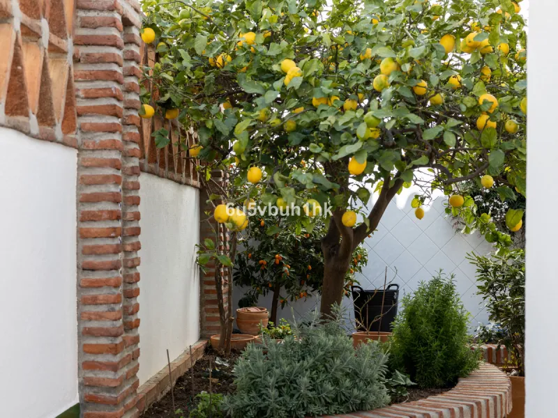 House - Detached Villa в продаже в Mijas, Málaga. В доме 4 спален и 3 ванных комнат. Площадь дома 366 м². Площадь участка 61 м²