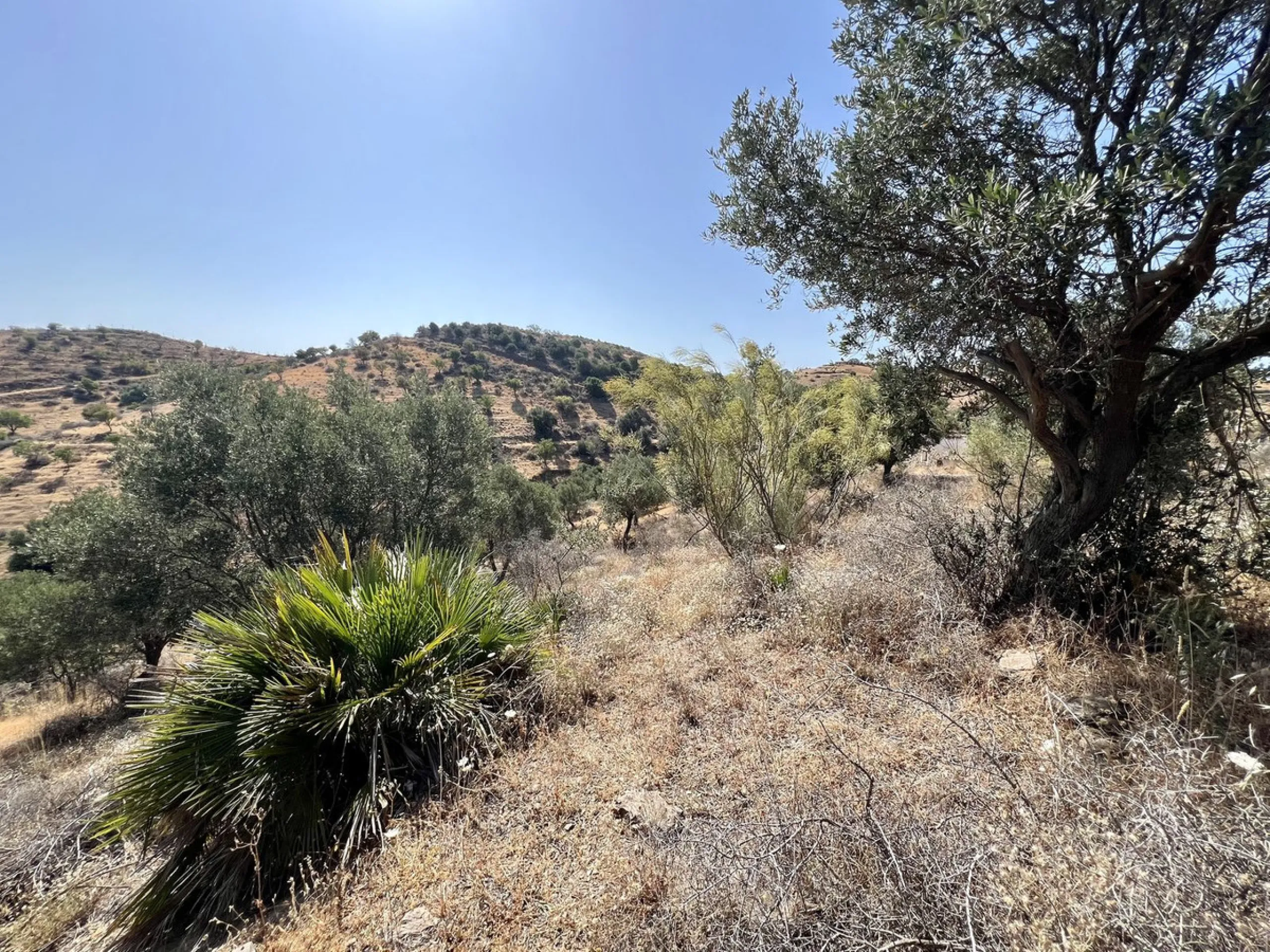 Plot - Land with Ruin в продаже в Mijas, Málaga. Площадь дома 172 м². Площадь участка 46545 м²