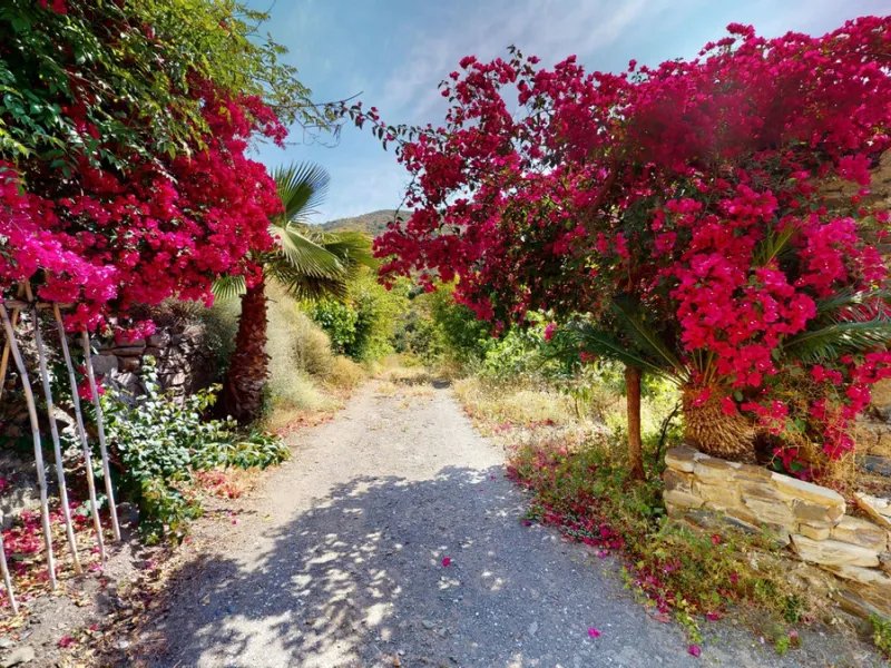 Immerse yourself in the tranquility and rustic charm of this impressive country house located in the idyllic Rincón de la Victoria. With a stone facade that exudes authenticity and character, this property is perfect for those seeking a serene and spaciou