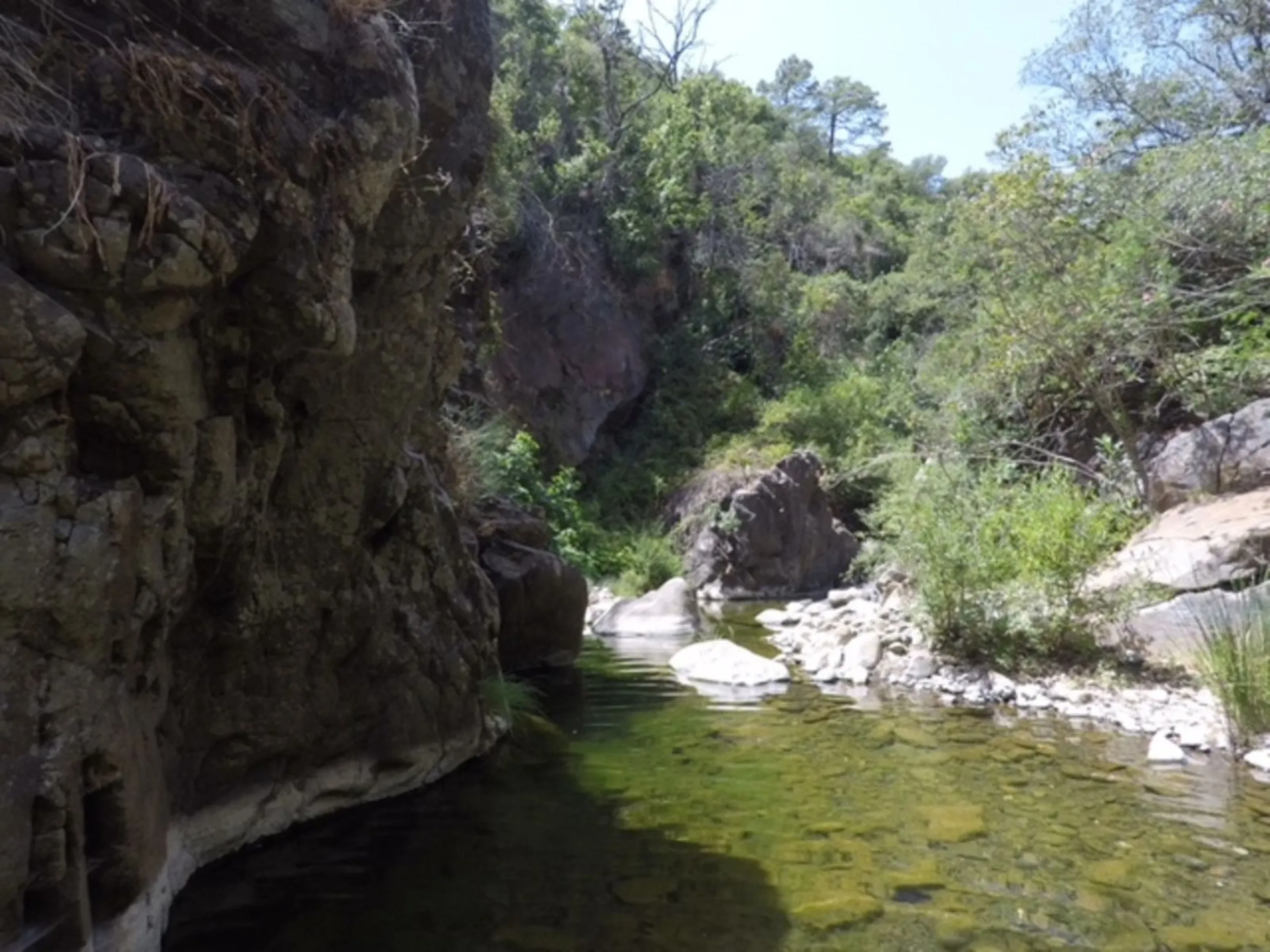 A unique 1-hectare plot located in the picturesque mountains above Estepona, by the El Padron River. This is the perfect place for those dreaming of tranquility and seclusion amidst nature.
