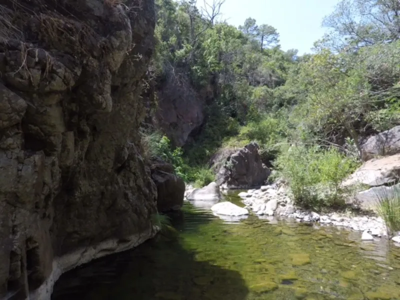 A unique 1-hectare plot located in the picturesque mountains above Estepona, by the El Padron River. This is the perfect place for those dreaming of tranquility and seclusion amidst nature.