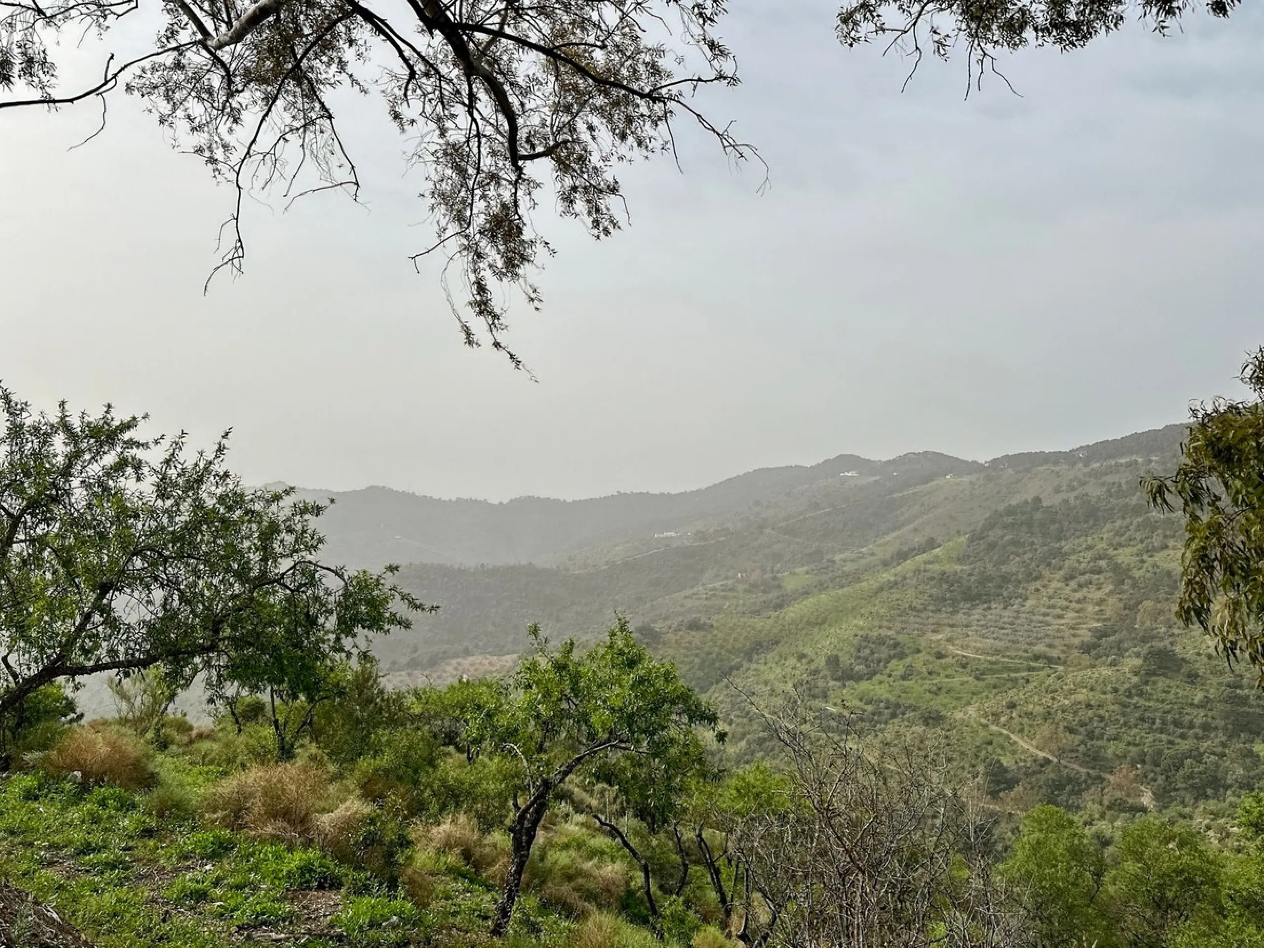 Immerse yourself in the magic of nature and history with this spectacular estate located in the Montes de Málaga Natural Park. Finca Lagar de Tolosa not only offers a unique living experience but also the opportunity to own a piece of Málaga's rich histor