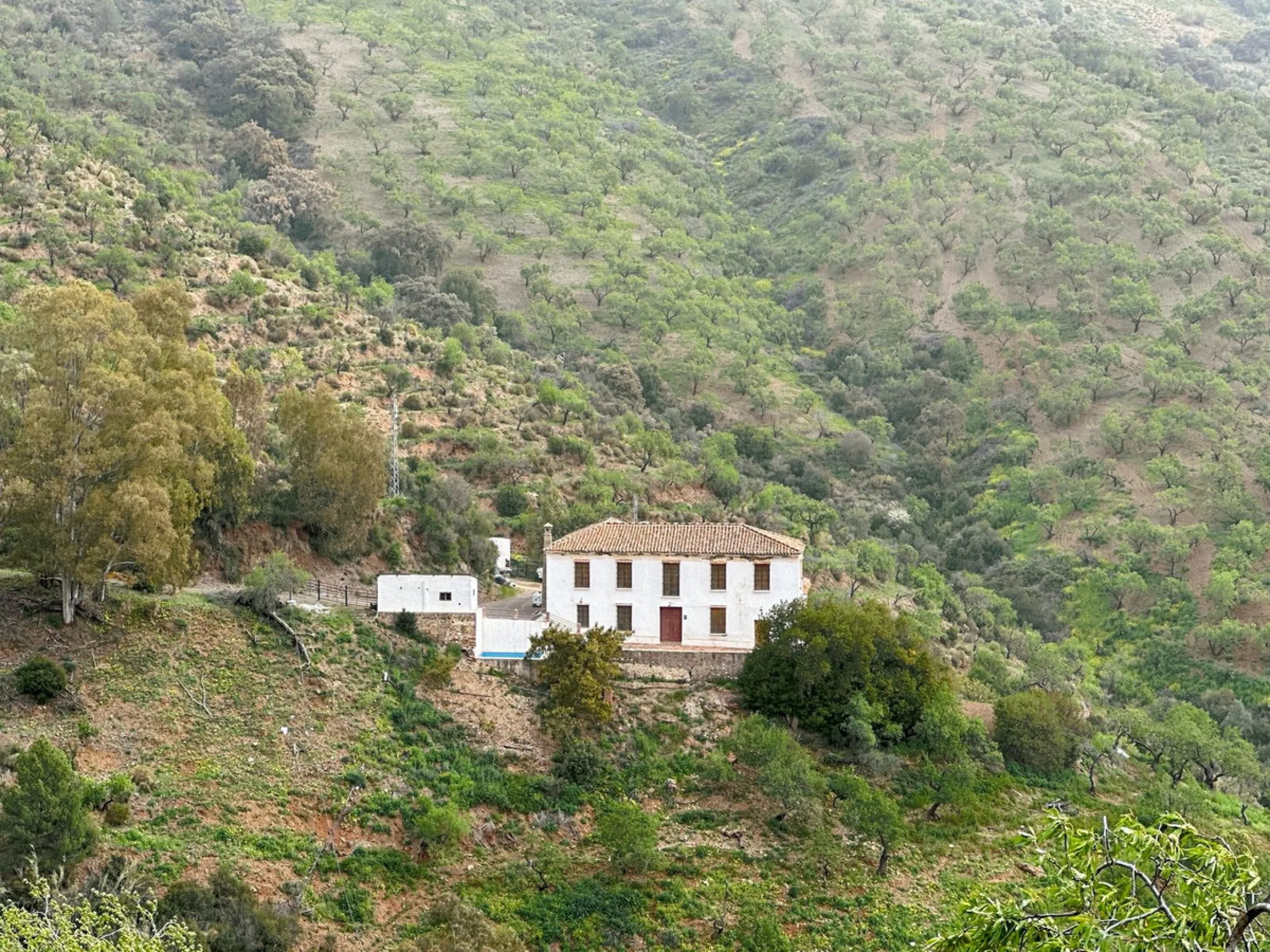 Immerse yourself in the magic of nature and history with this spectacular estate located in the Montes de Málaga Natural Park. Finca Lagar de Tolosa not only offers a unique living experience but also the opportunity to own a piece of Málaga's rich histor