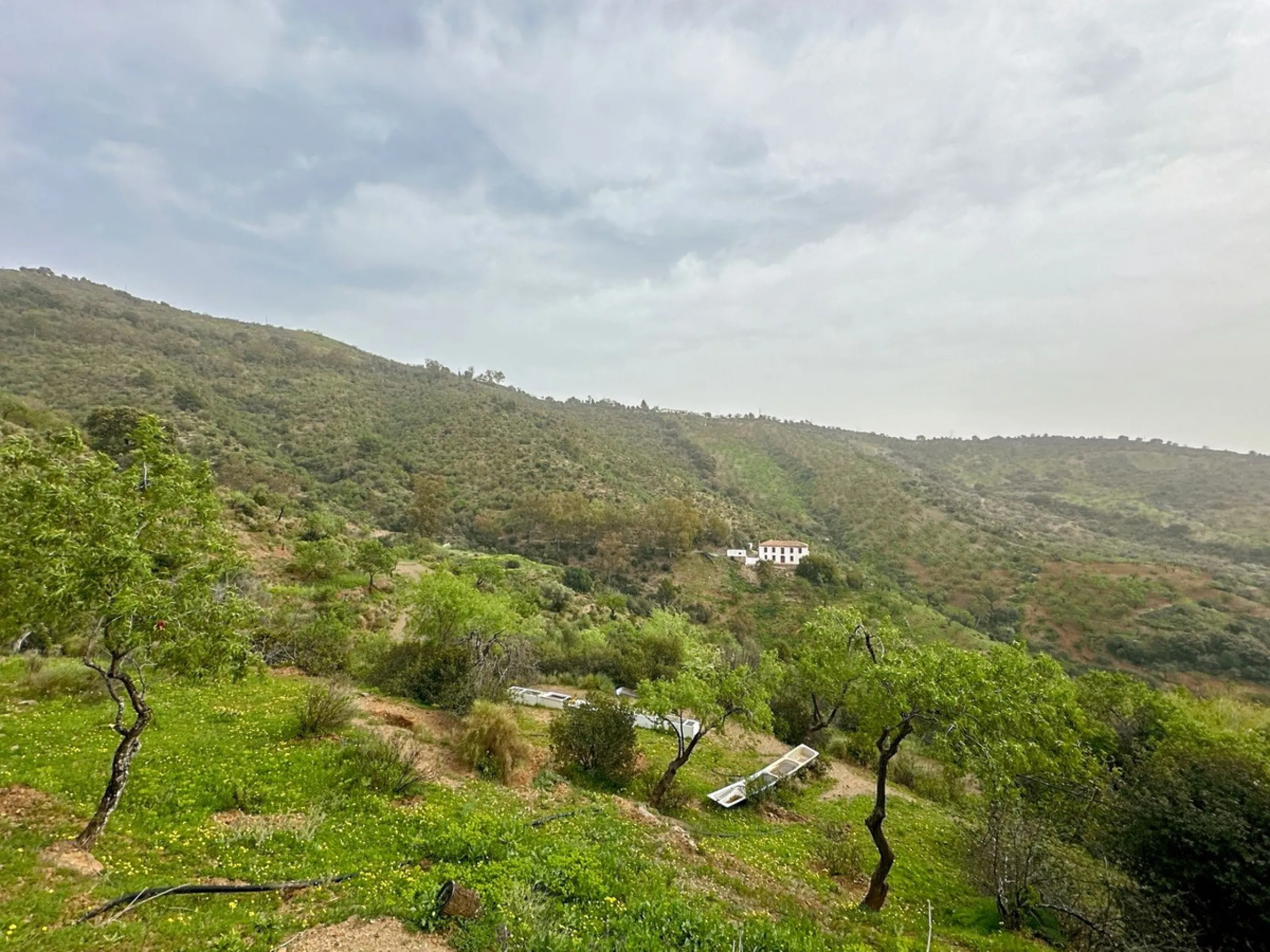 Immerse yourself in the magic of nature and history with this spectacular estate located in the Montes de Málaga Natural Park. Finca Lagar de Tolosa not only offers a unique living experience but also the opportunity to own a piece of Málaga's rich histor