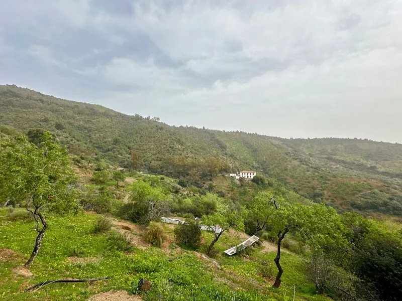Immerse yourself in the magic of nature and history with this spectacular estate located in the Montes de Málaga Natural Park. Finca Lagar de Tolosa not only offers a unique living experience but also the opportunity to own a piece of Málaga's rich histor