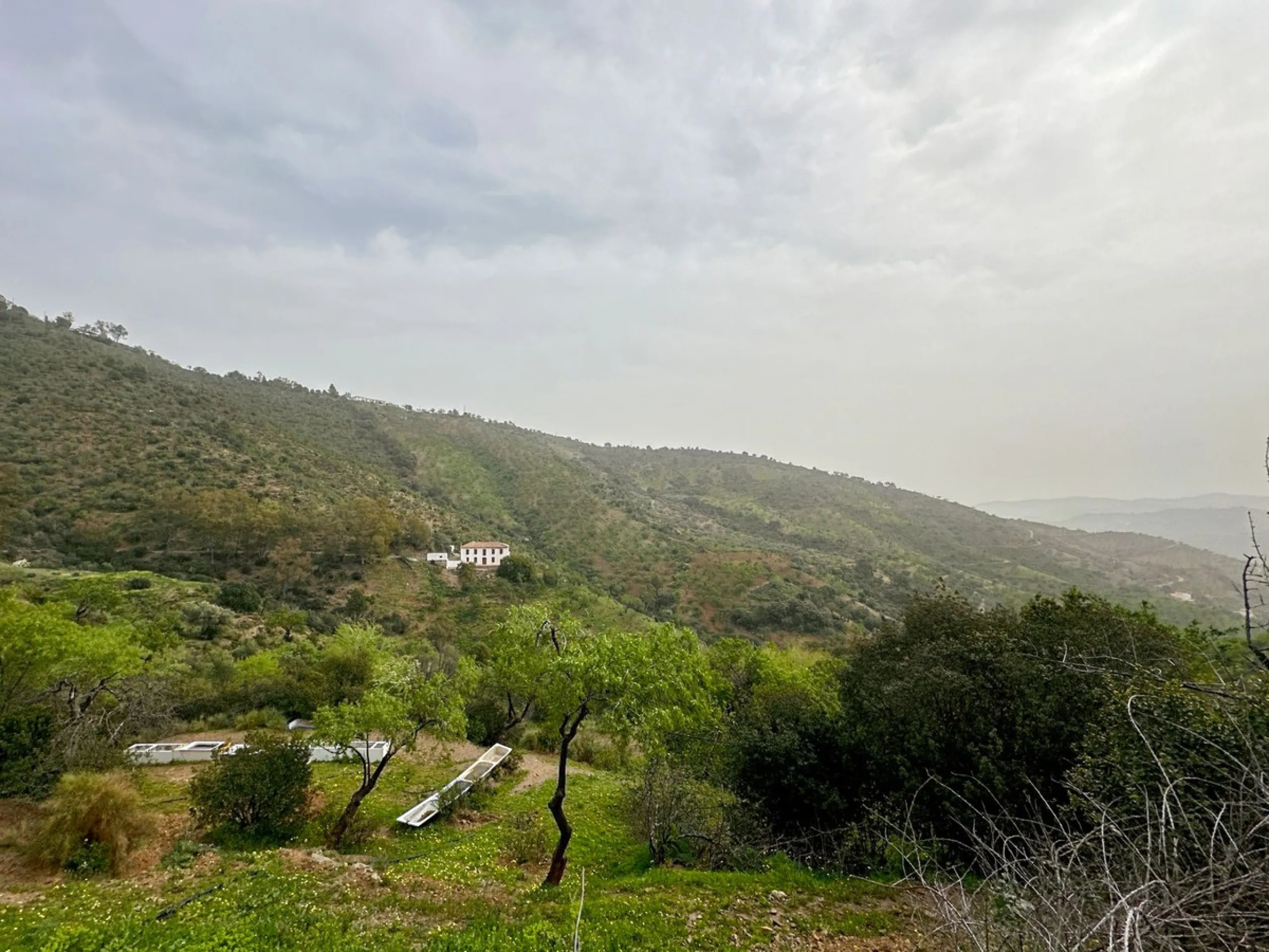 Immerse yourself in the magic of nature and history with this spectacular estate located in the Montes de Málaga Natural Park. Finca Lagar de Tolosa not only offers a unique living experience but also the opportunity to own a piece of Málaga's rich histor